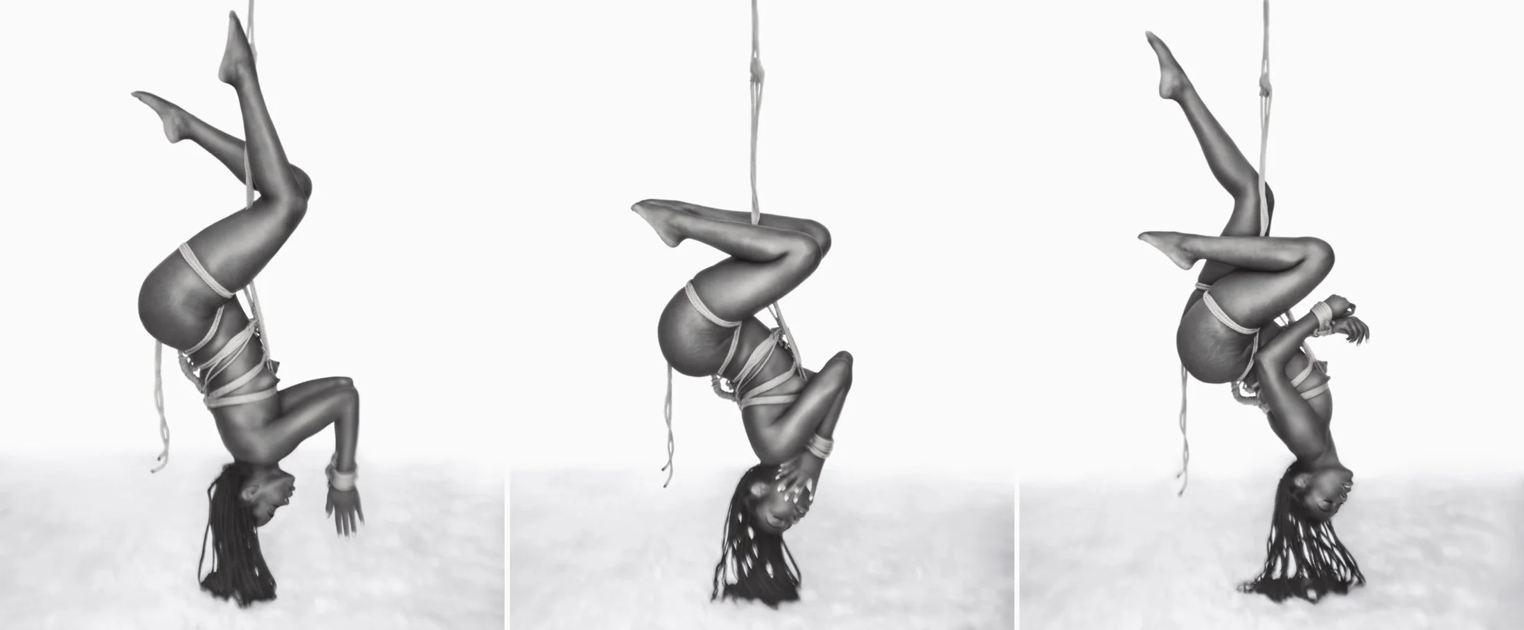 Restrained Desires | Dakota No. 3