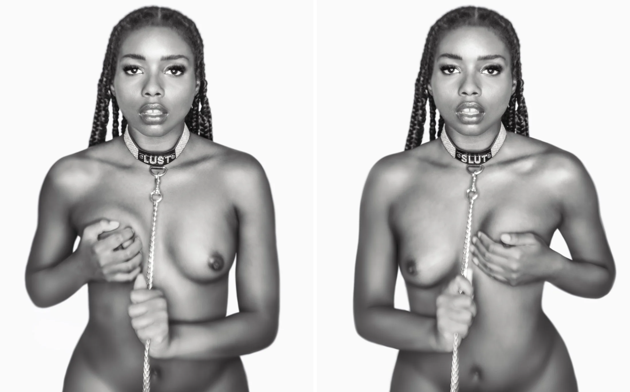 The Foundations of Lust  | Dakota No.  9