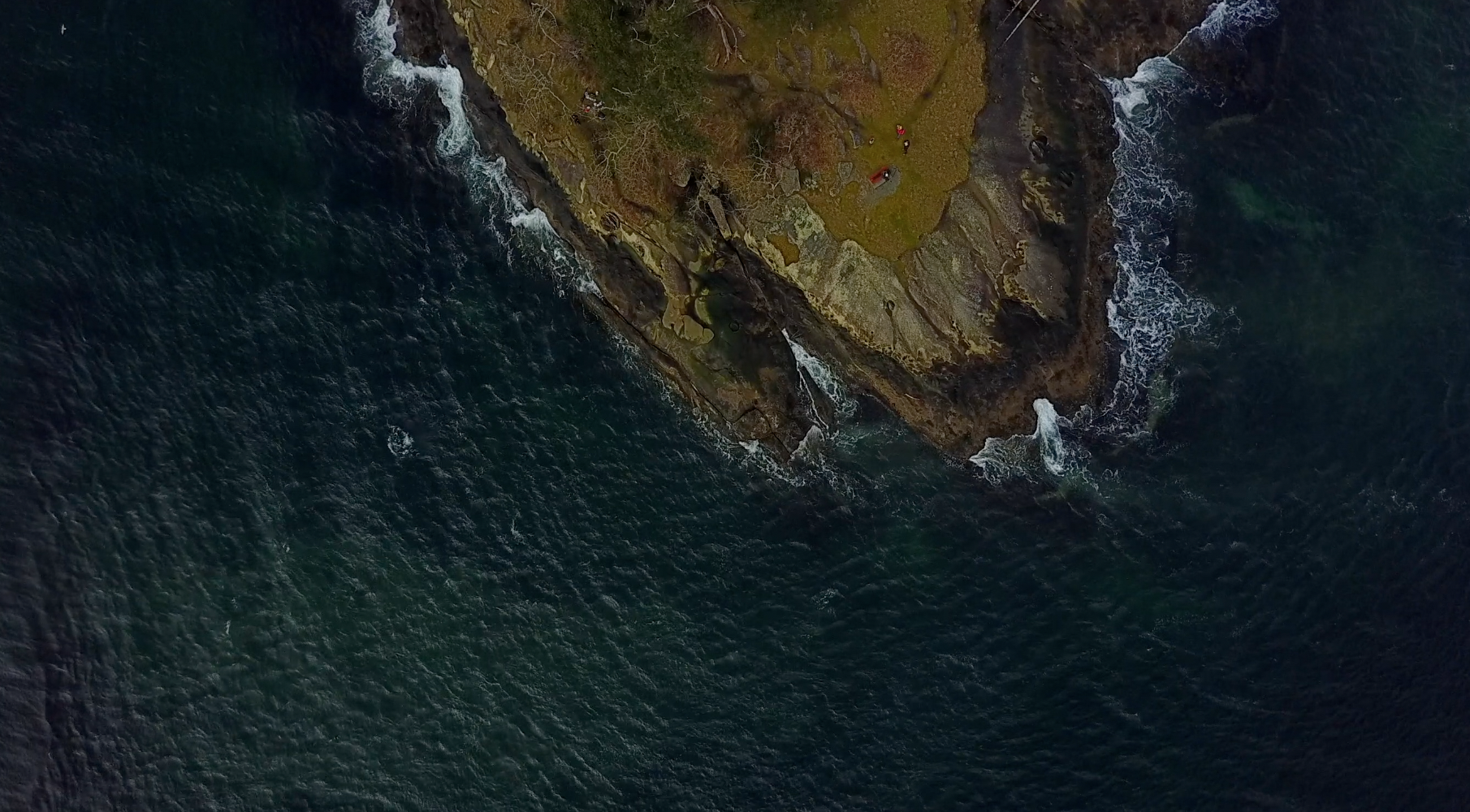 Ocean Shoreline .png
