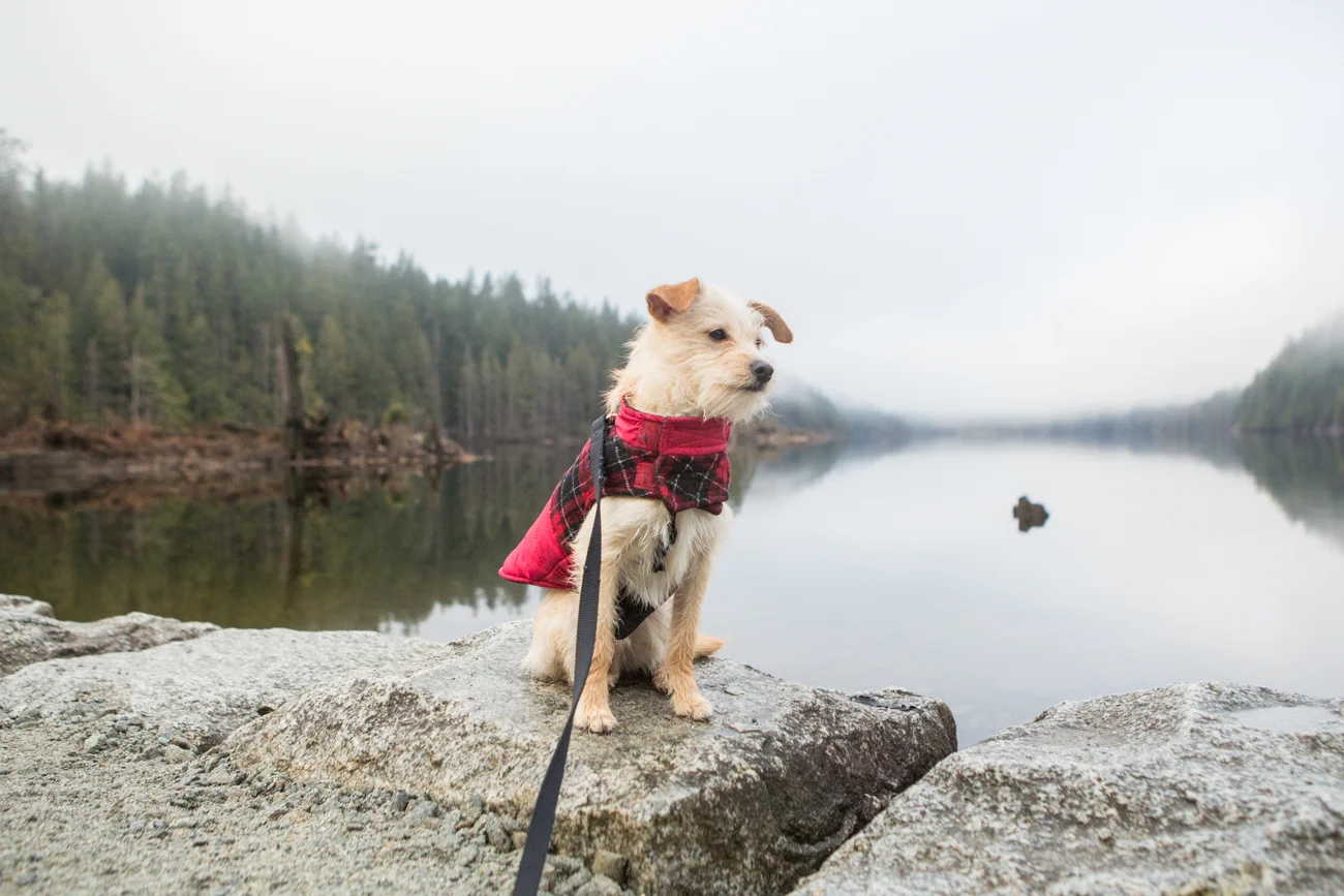 Bolandia_Blog_Vancouver_Bunzten-Lake-2271.jpg