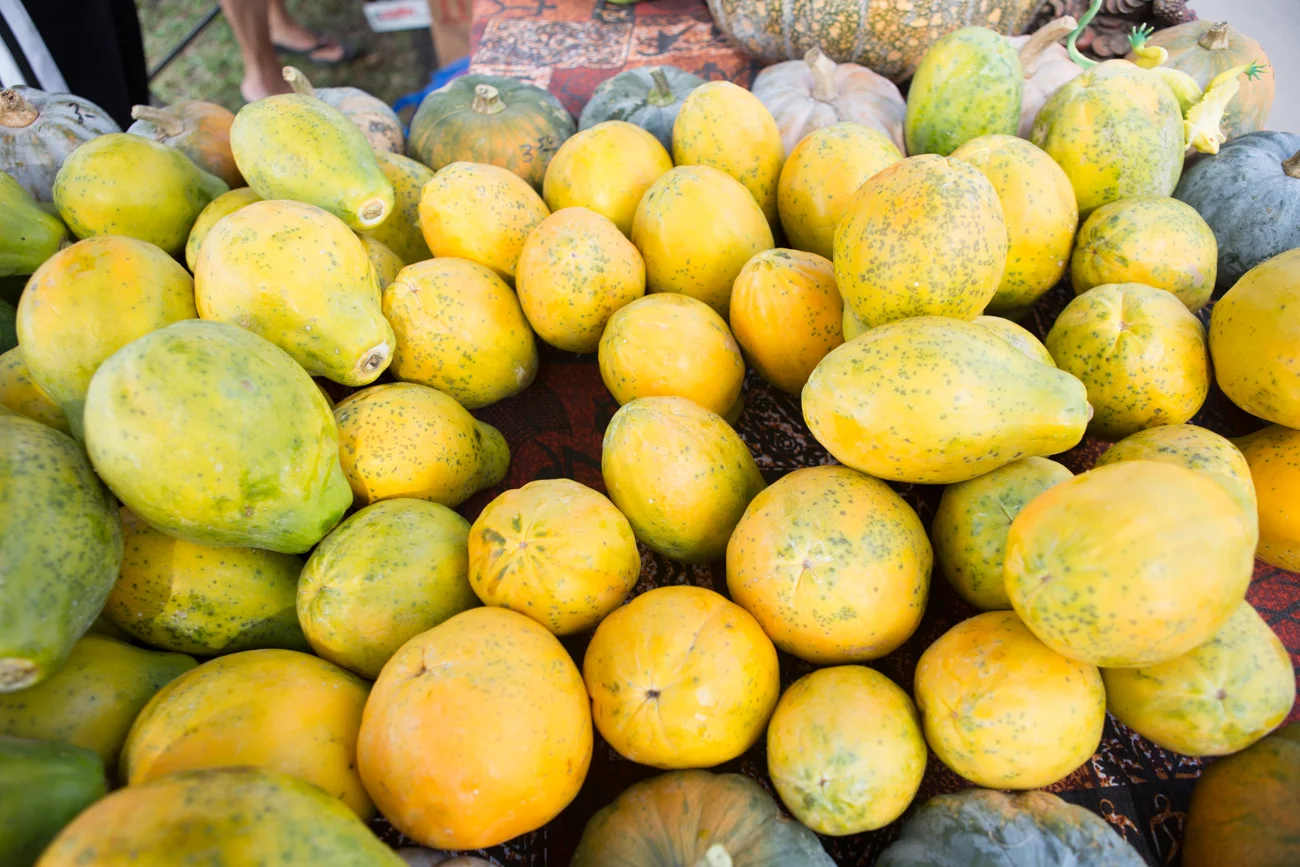 Big-Island-Hawaii-Travel_-Kona-Green-Market-Sunday-9023.jpg