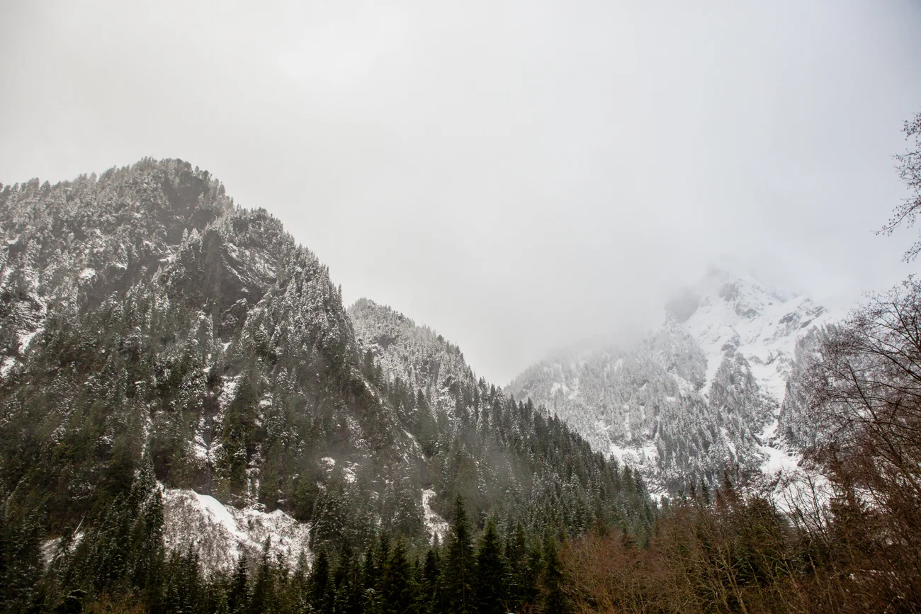 Bolandia-Blogger-Vancouver-Alder-Flats-Hike-Golden-Ears-Park-00317.jpg