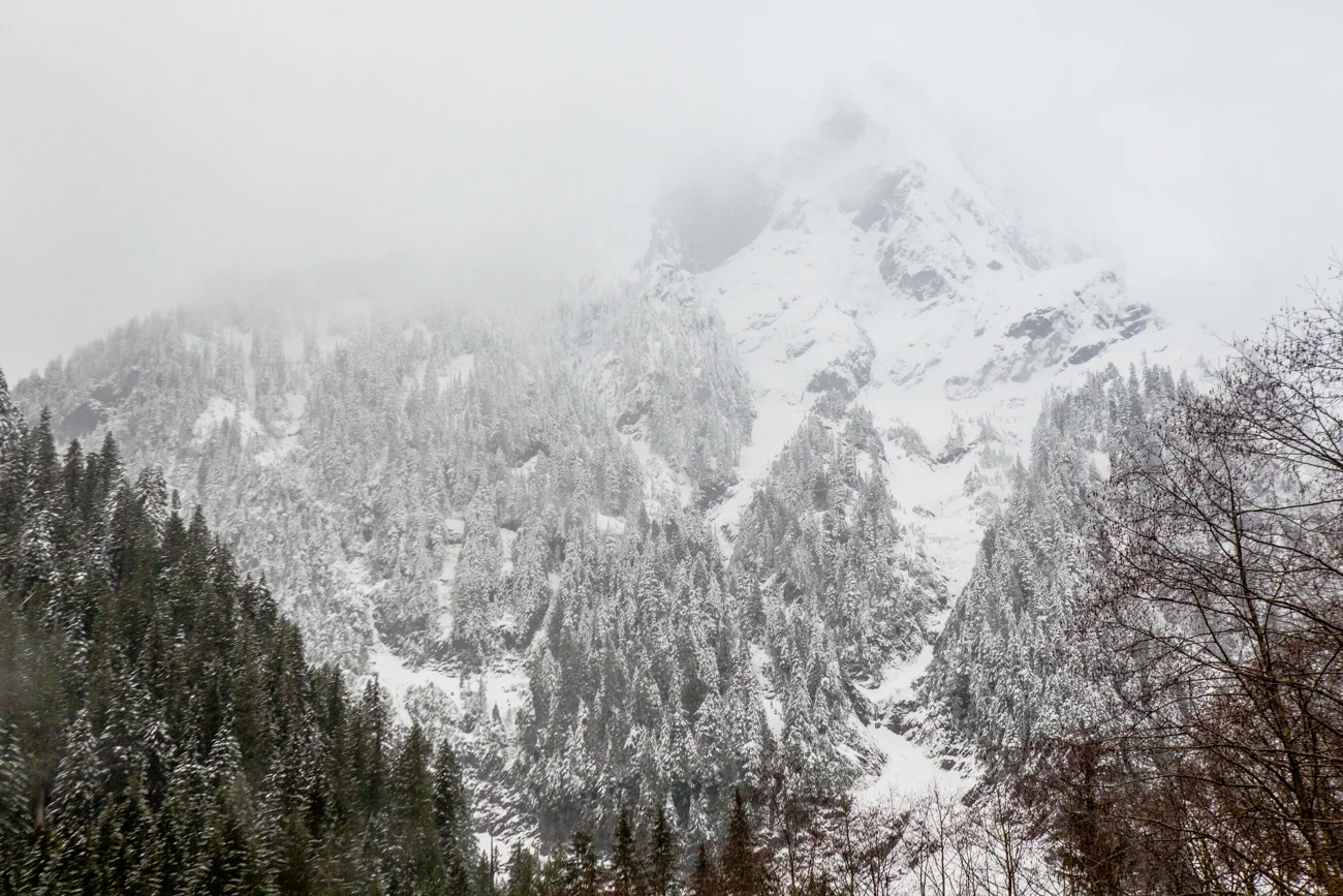 Bolandia-Blogger-Vancouver-Alder-Flats-Hike-Golden-Ears-Park-00318.jpg