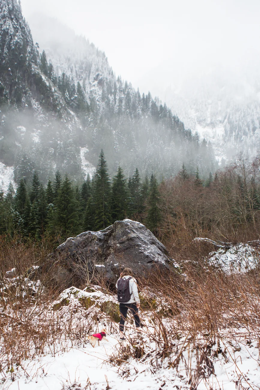 Bolandia-Blogger-Vancouver-Alder-Flats-Hike-Golden-Ears-Park-00326.jpg