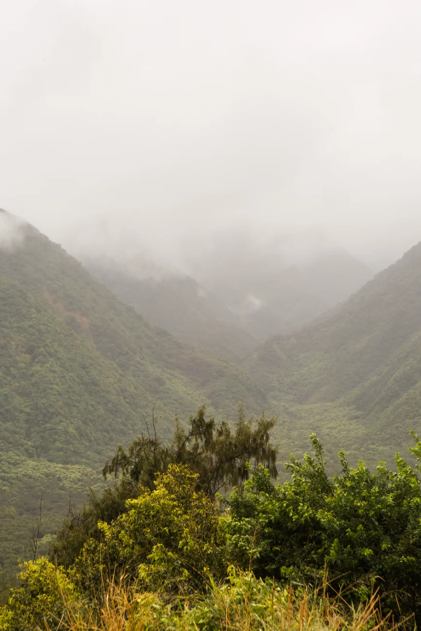 Pololu-Valley_Big-Island-Kona-Hawaii-Travel_Bolandia-Blog-9326.jpg