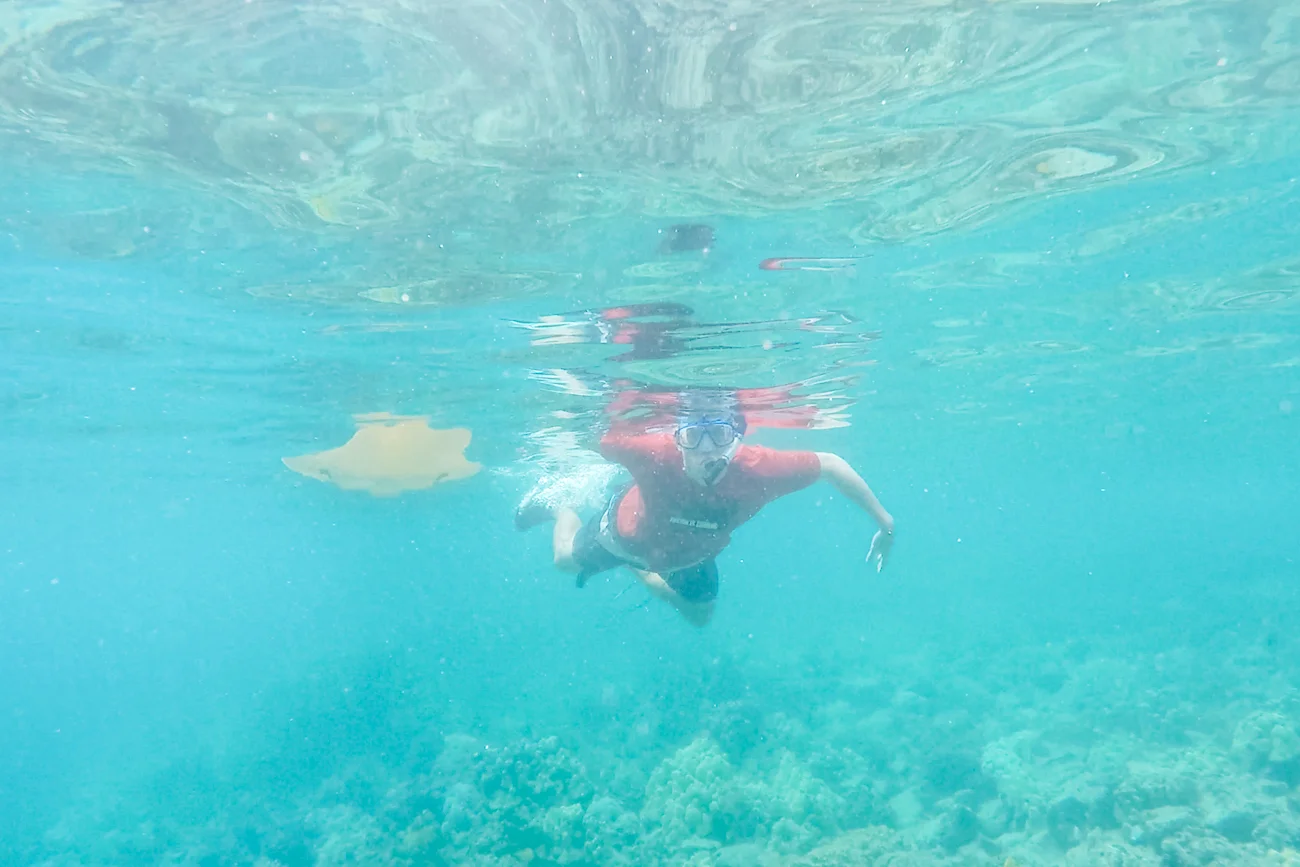 Sea-Kayaking-and-Snorkelling-in-Kealakekua-Bay_-Big-Island-Kona-Hawaii-Travel_Bolandia-Blog-34.jpg