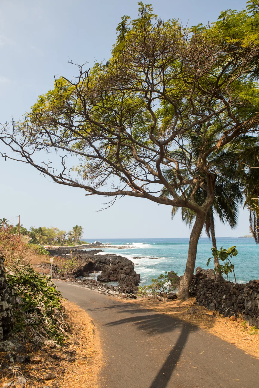Sea-Kayaking-and-Snorkelling-in-Kealakekua-Bay_-Big-Island-Kona-Hawaii-Travel_Bolandia-Blog-9417.jpg