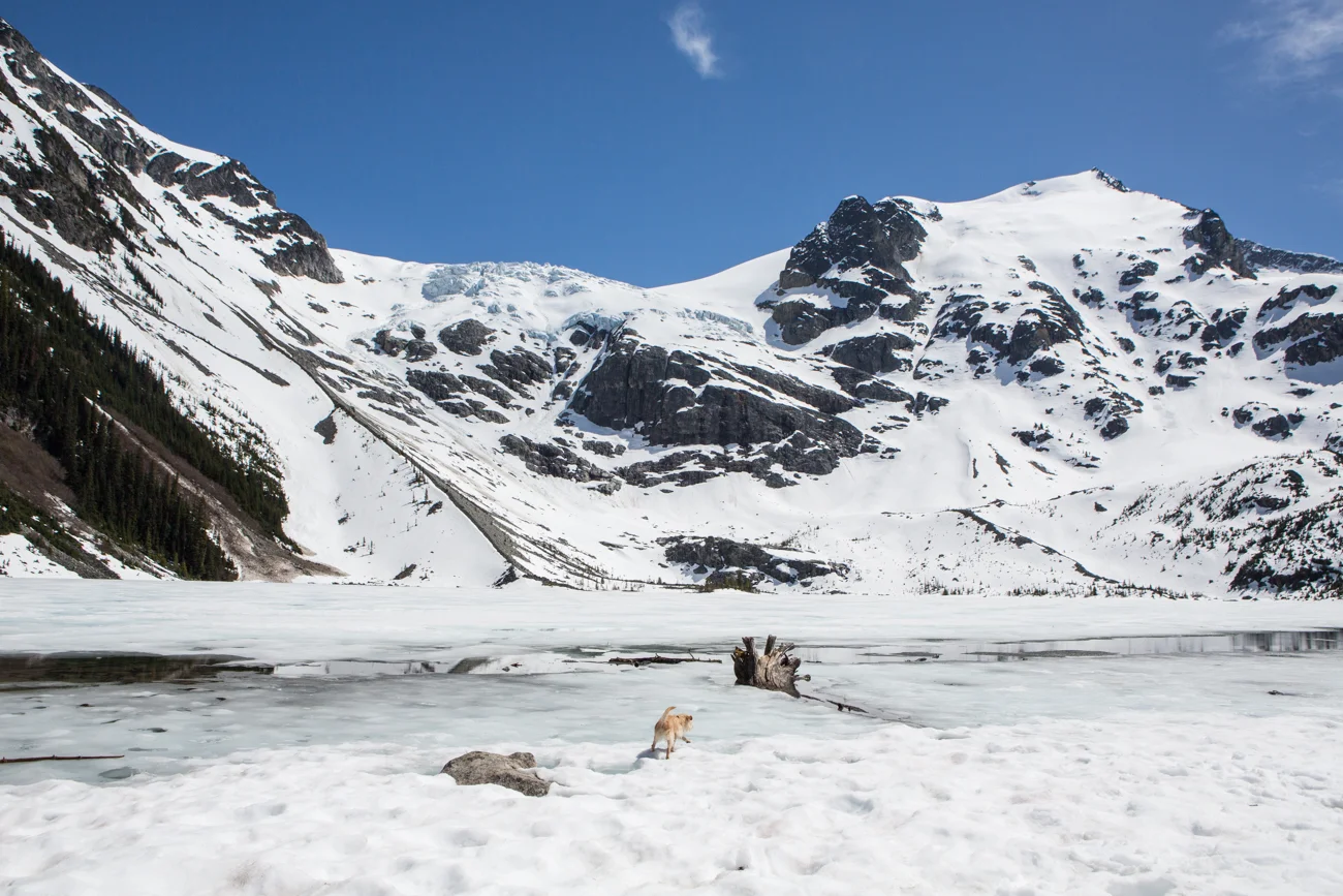 Bolandia-Blogger-Vancouver-Explore-BC-Hiking-Camping-Joffre-Lakes-Spring-Nairn-Falls-1618.jpg