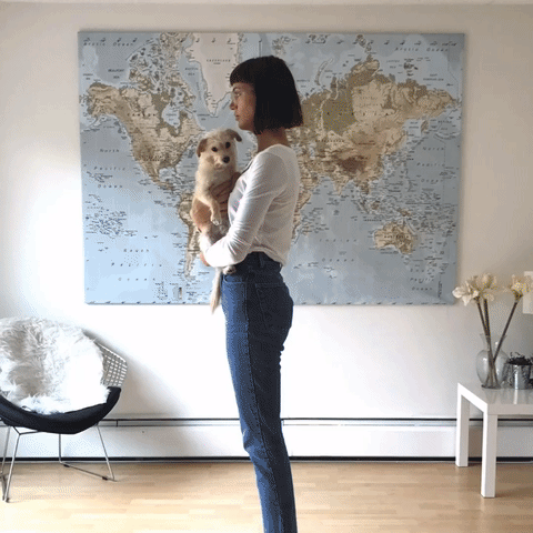 giphy-5.gif