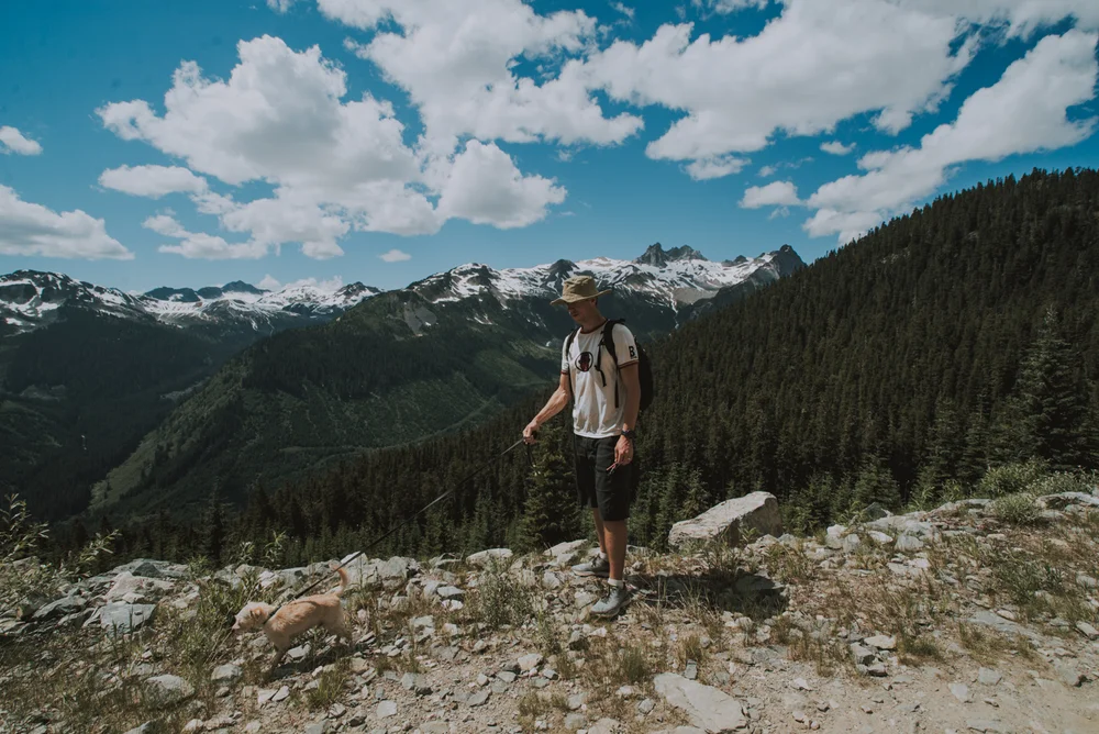 Brandywine Meadows Hike Up Logging Rooads in Prius Dog Friendly-DSC00510.jpg
