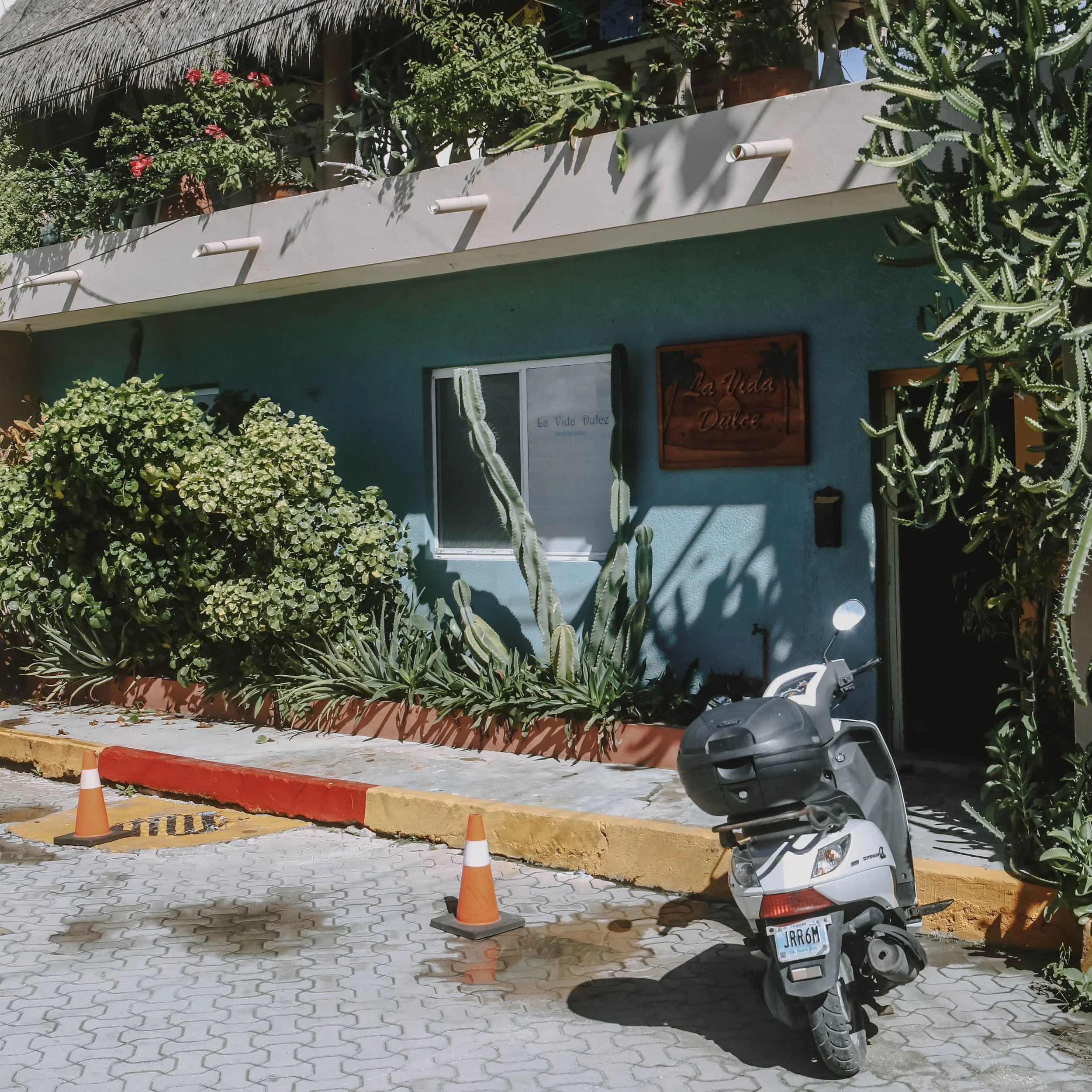 7S0A5143_crop.jpg