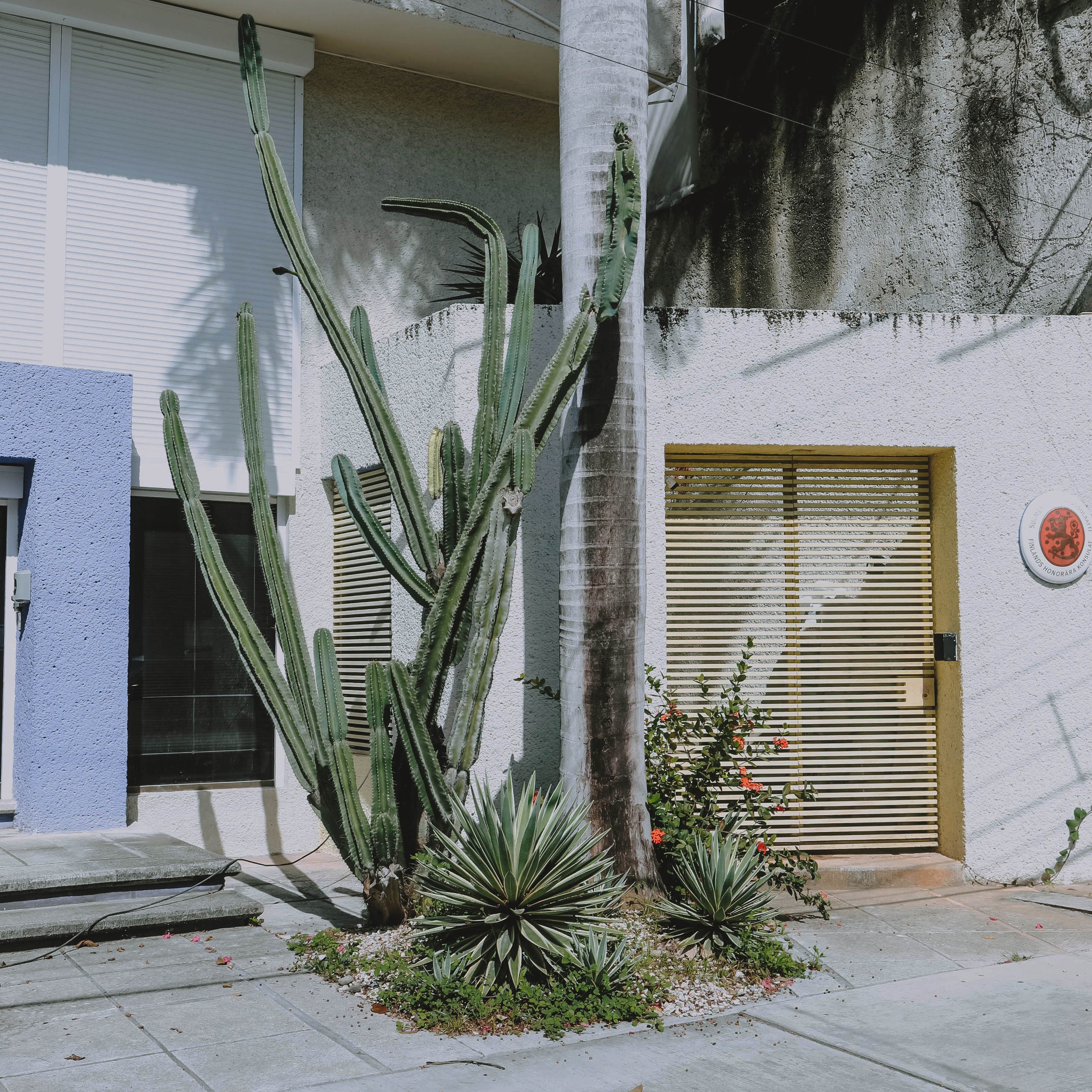 7S0A5472_crop.jpg