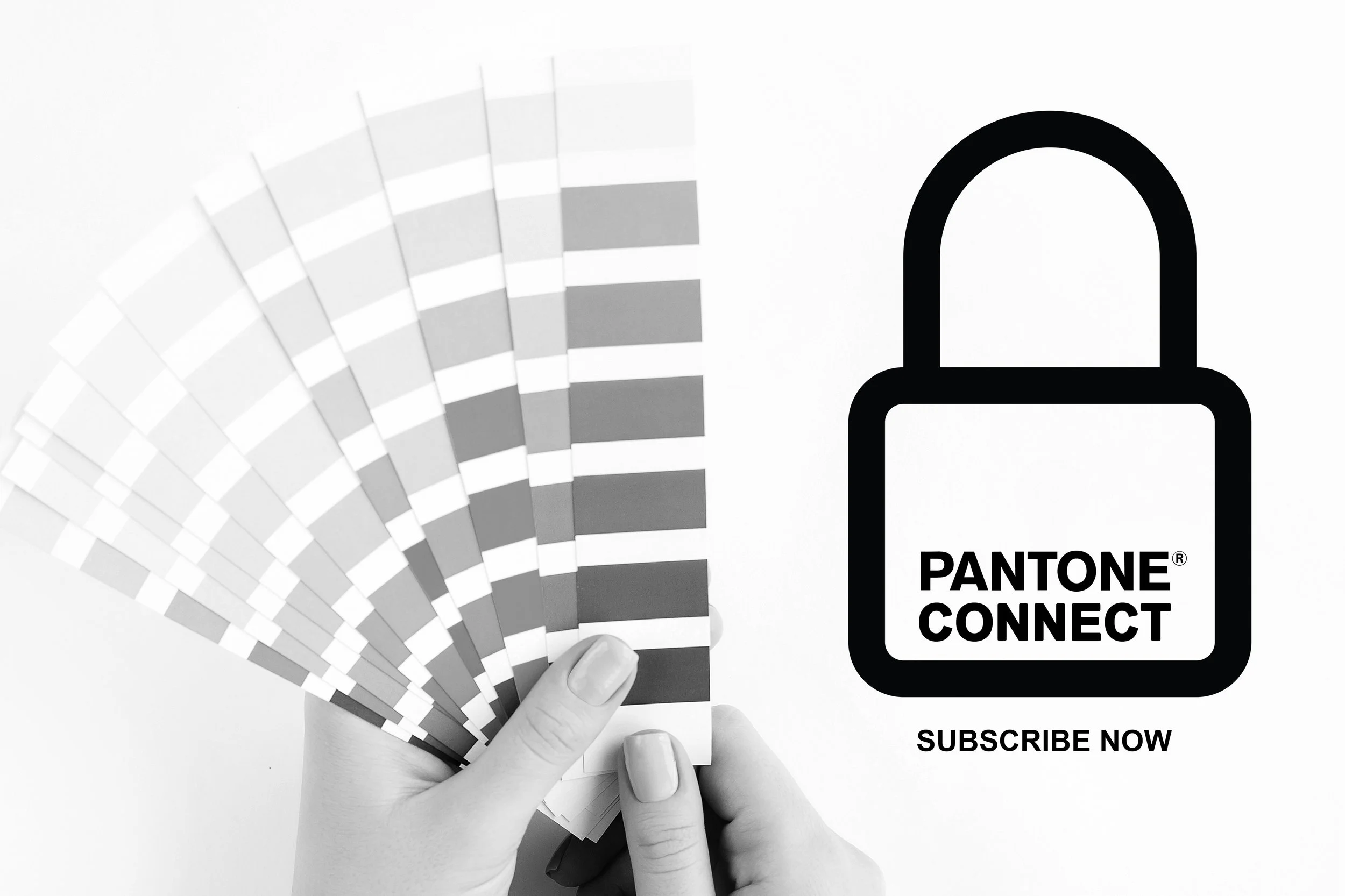 The Pantone Paywall HUES DESIGN the-pantone-paywall-hues-design