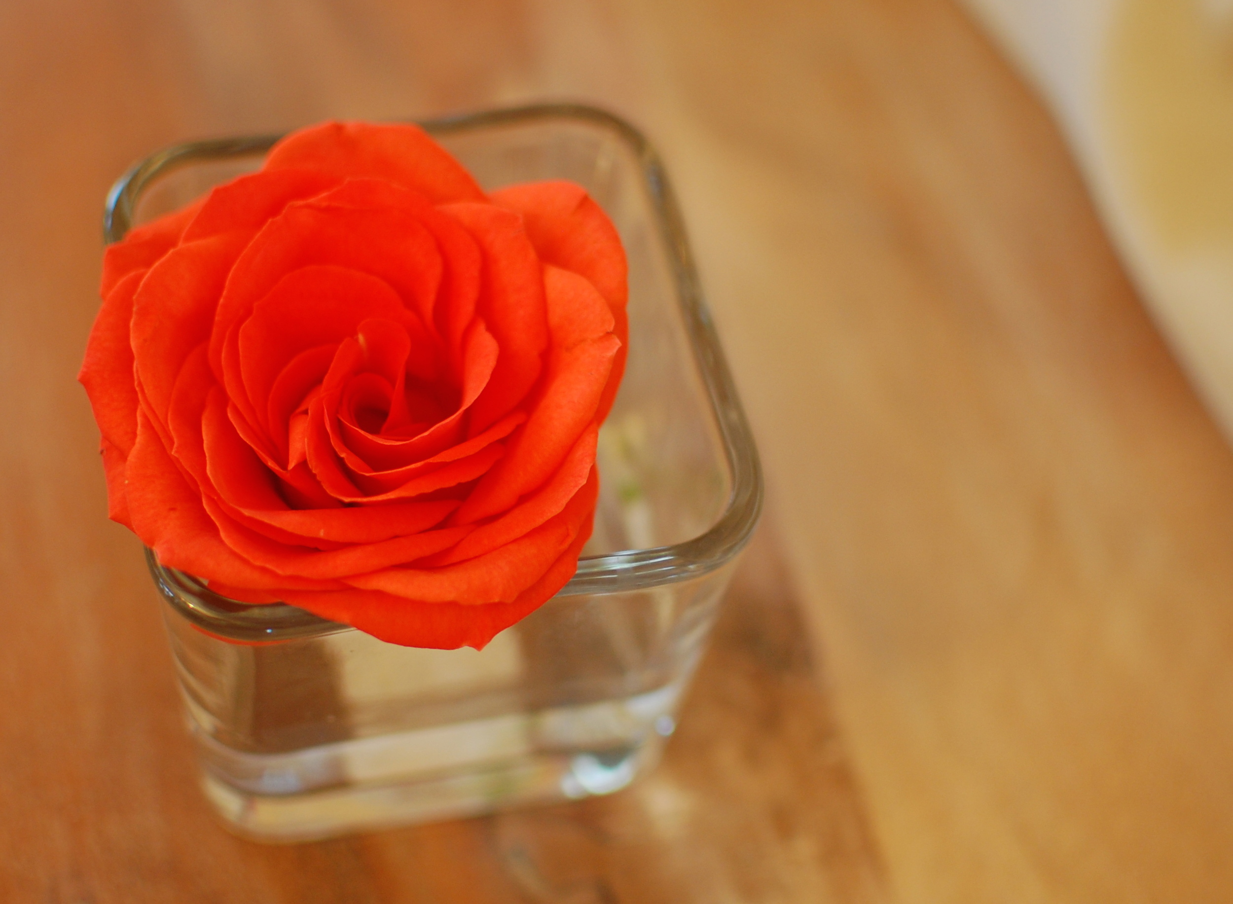 You could even add rocks, marbles, or other accents to the vase to give it extra personality.