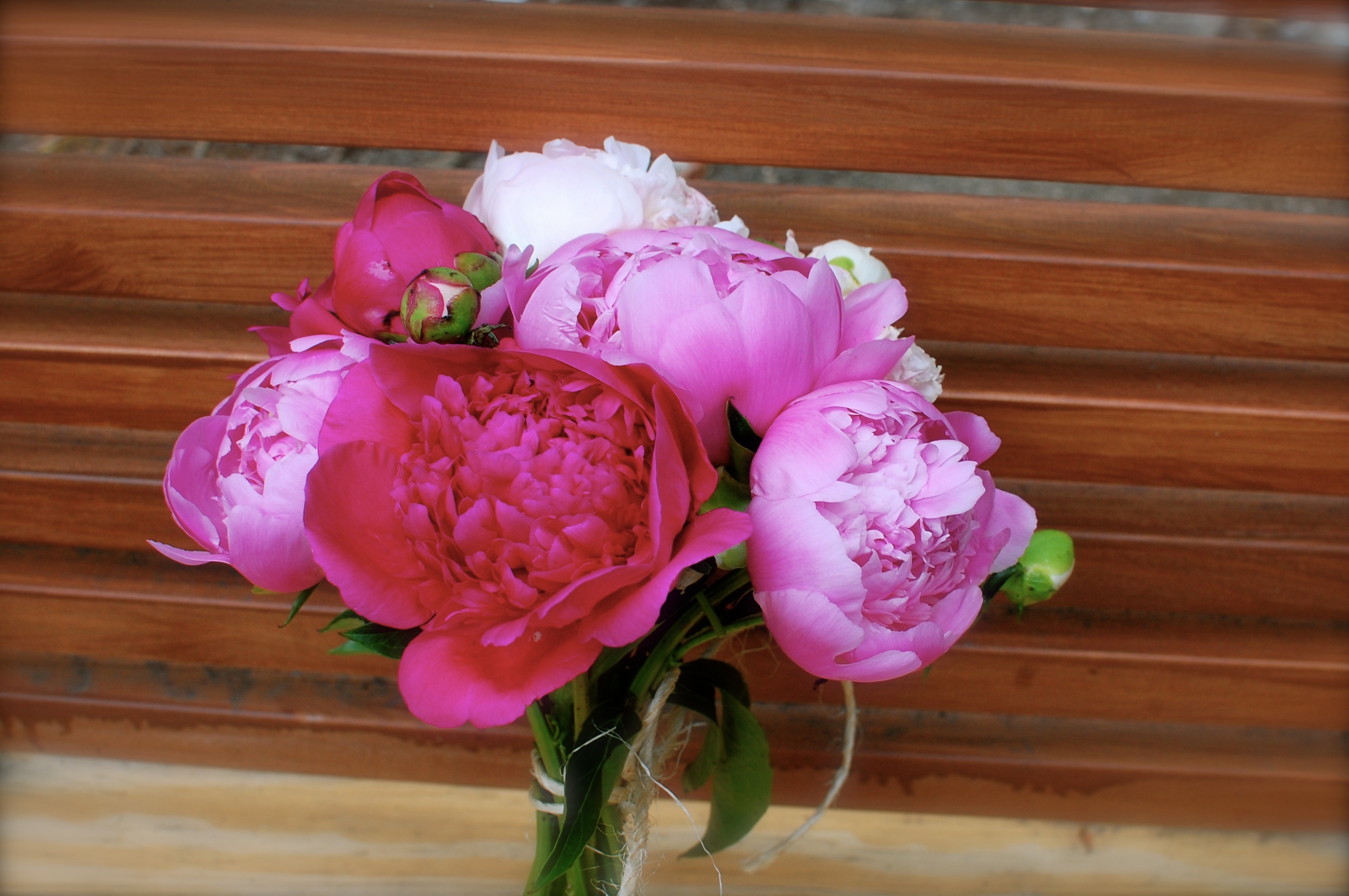 Hand-tied peony bouquet with twine