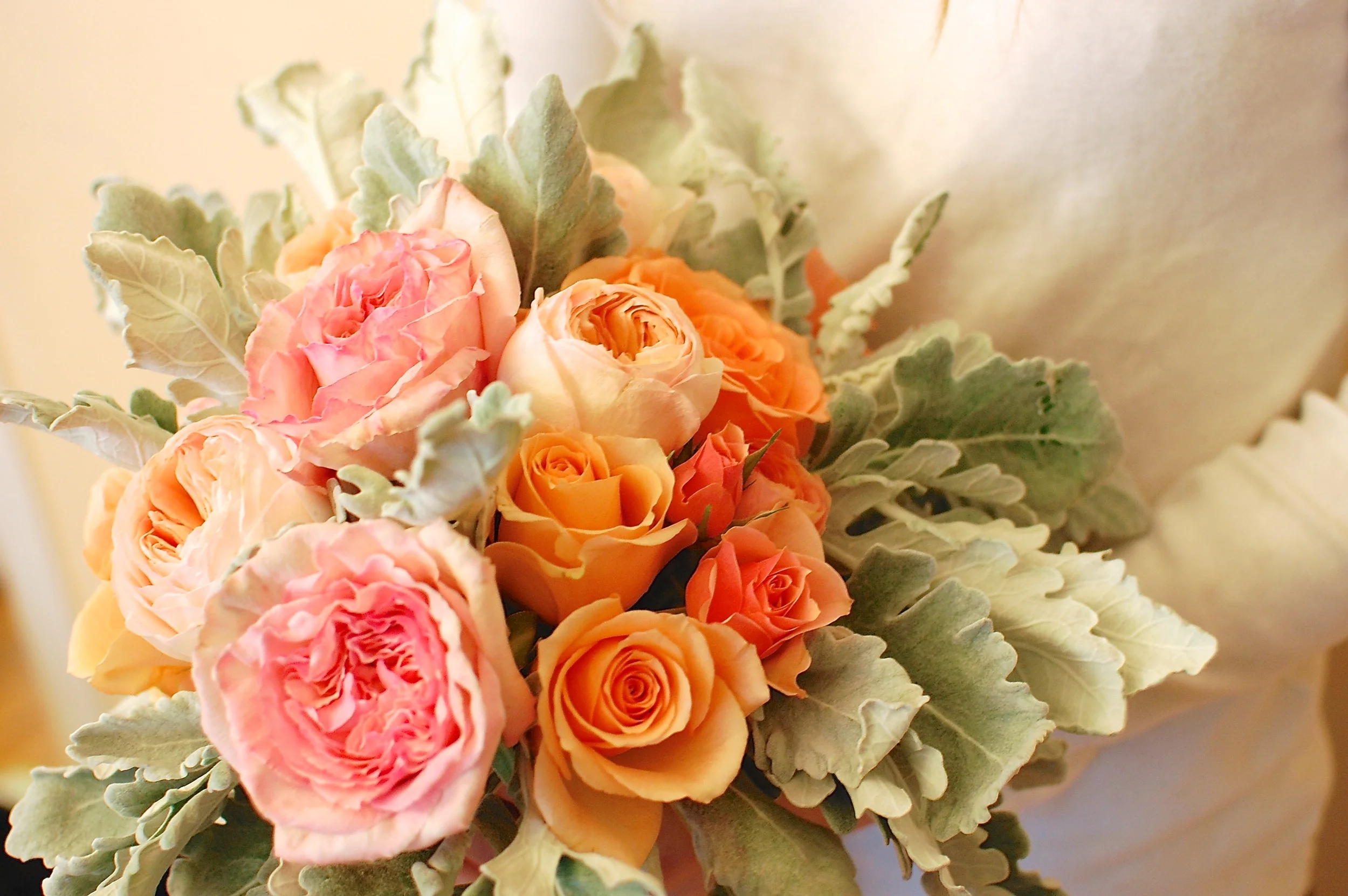 Peach Garden Roses