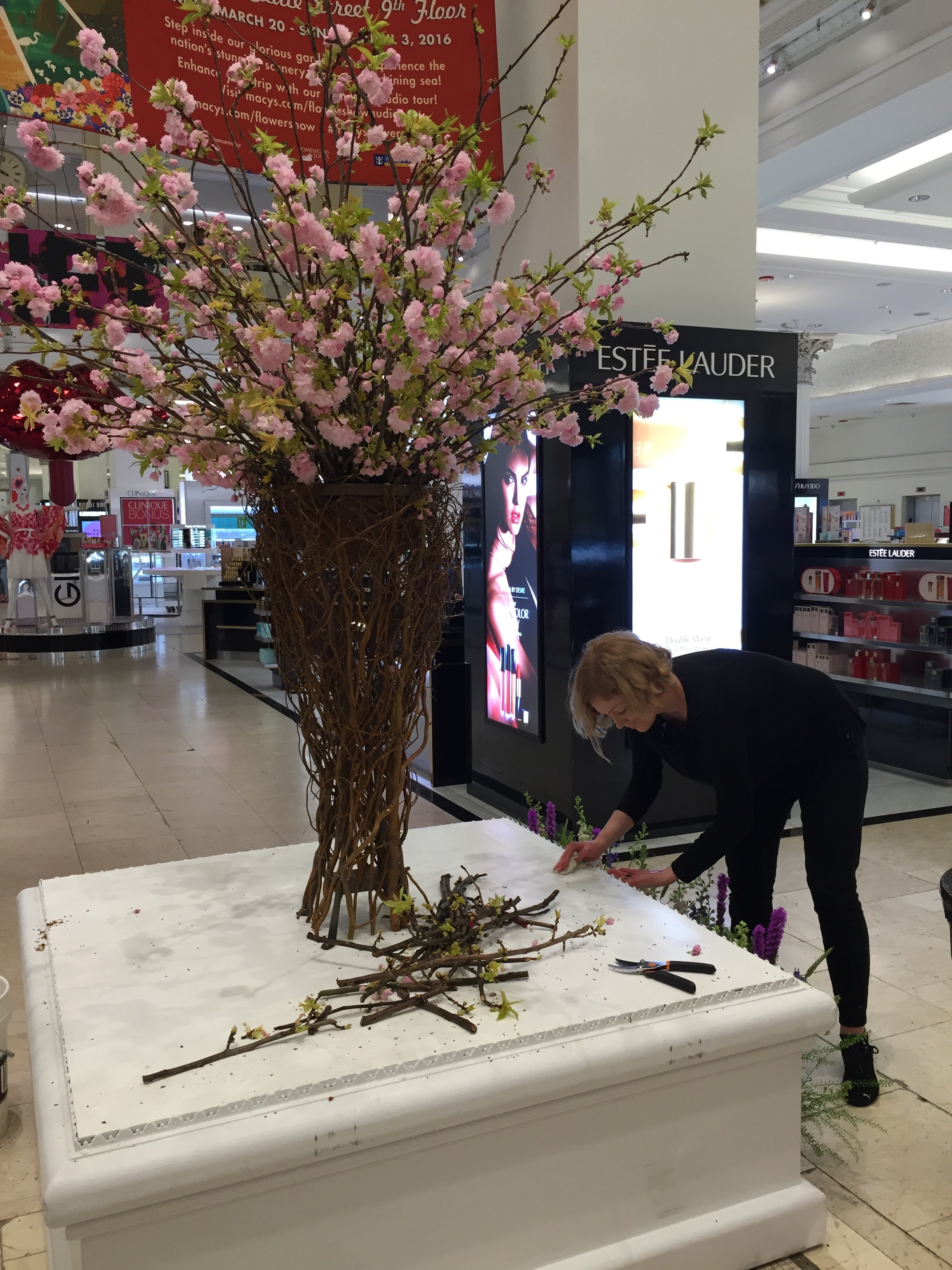 My amazing assistant, Julia, hard at work