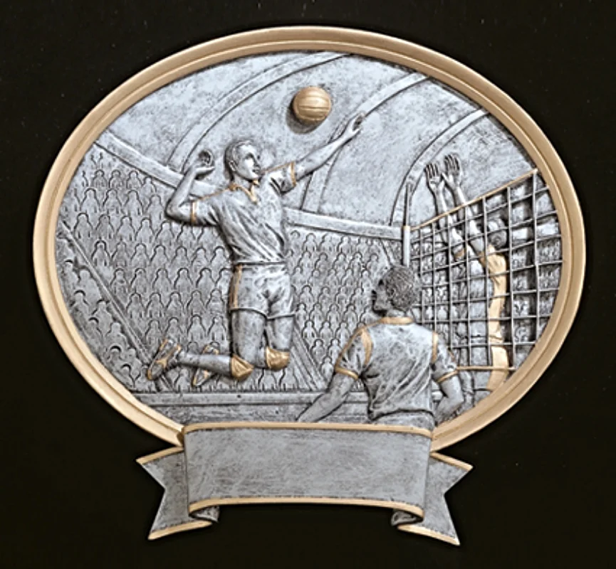 Volleyball, Male: Small - 6" wide - 56518GS Large - 8" wide - 54518GS