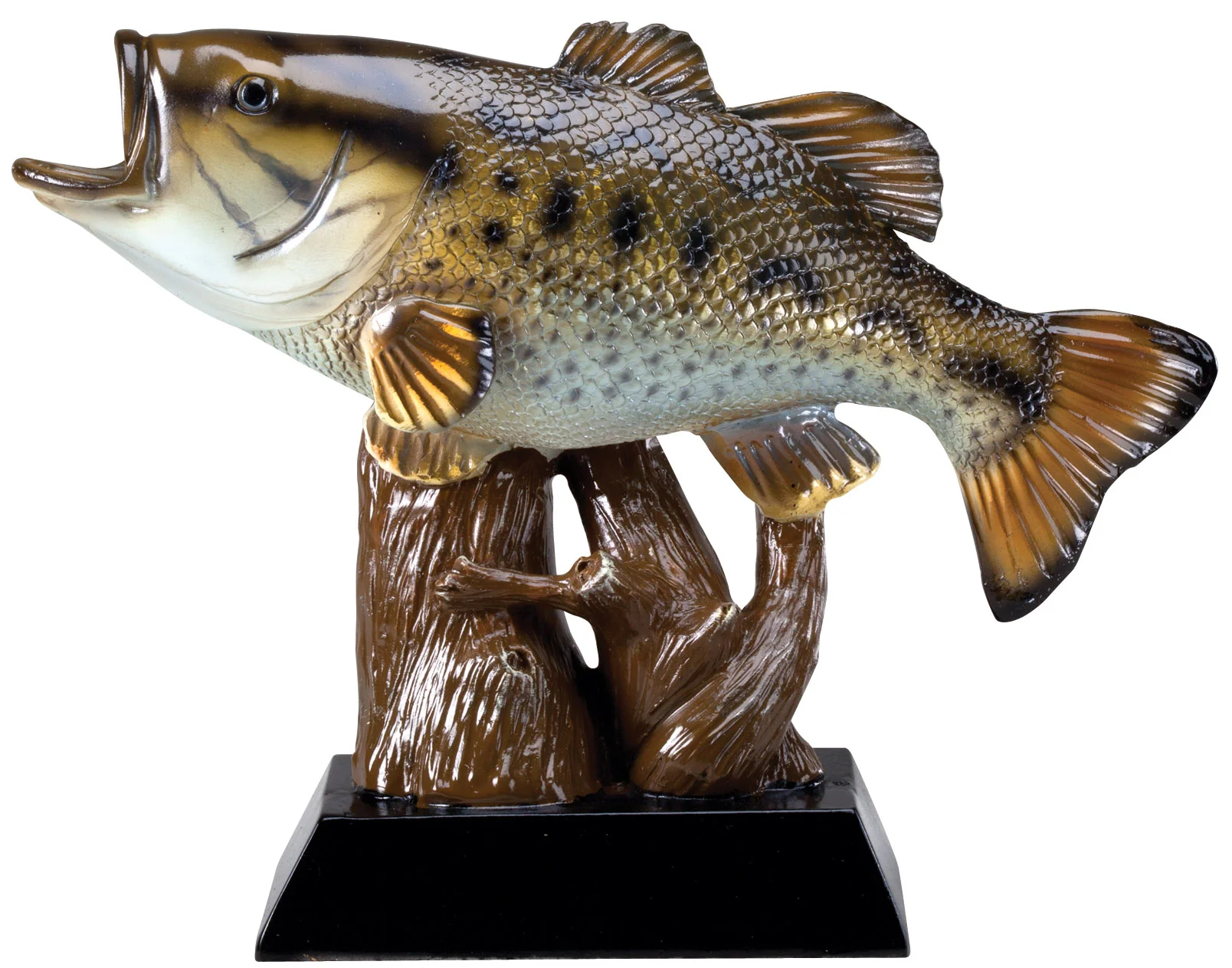 FISH10.jpg