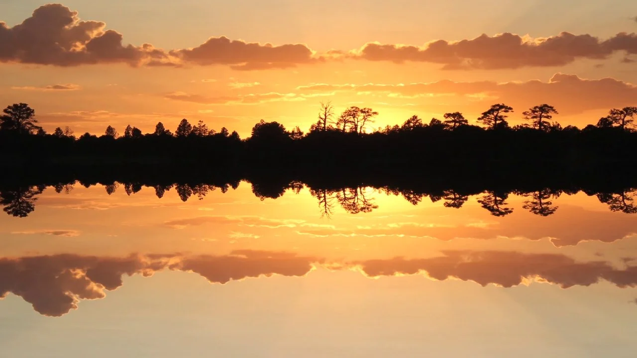 Feels Like We Only Go Backwards - Tame Impala (Copy)