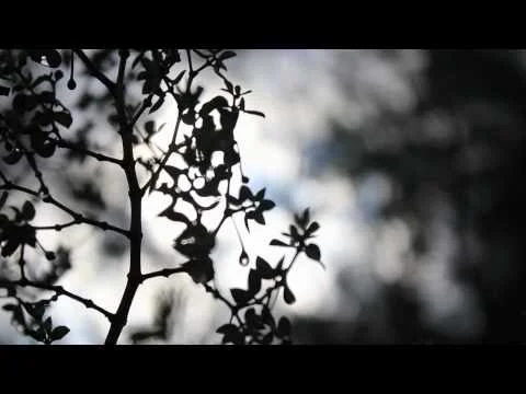 Sufjan Stevens - Futile Devices Music Video (Copy)