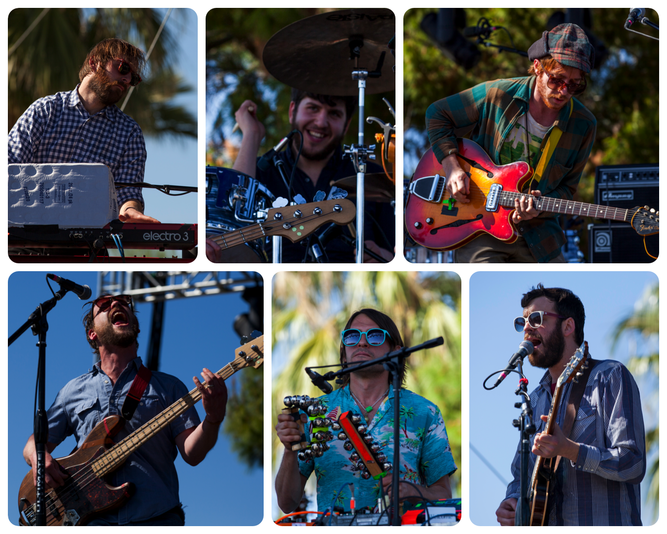 Dr. Dog Collage 3.png