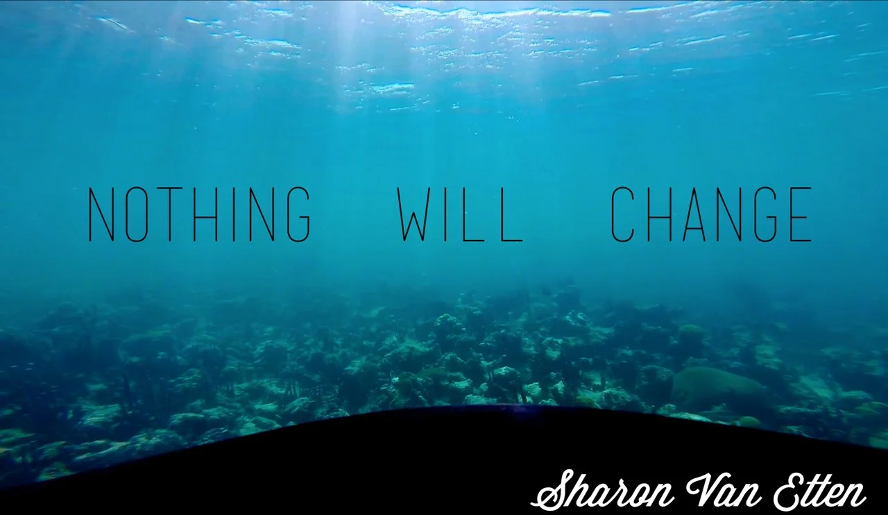 Sharon Van Etten - "Nothing Will Change" Music Video (Copy)
