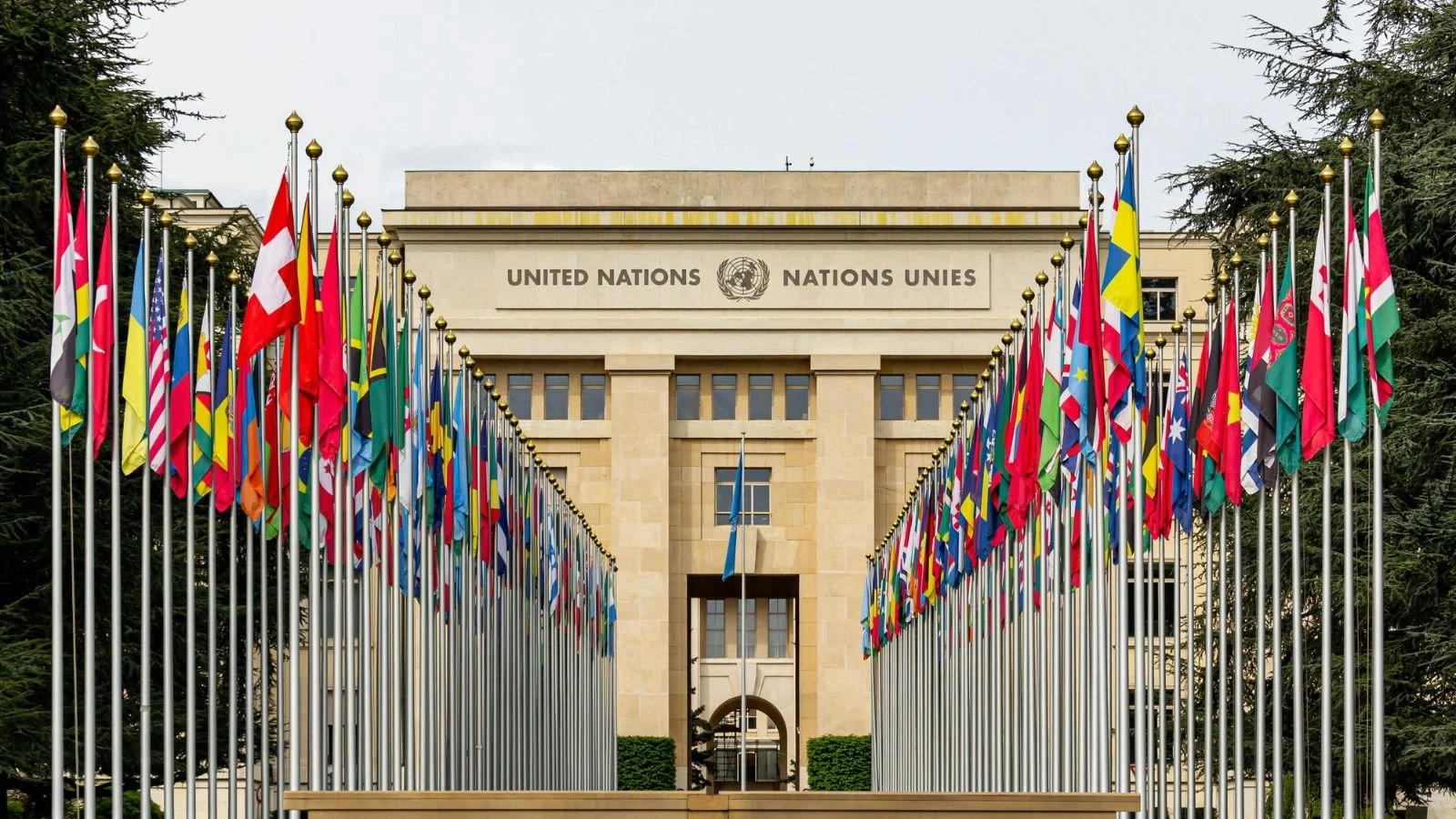 United Nations building with two rows of flags from different countries lined up leading to the entrance.
