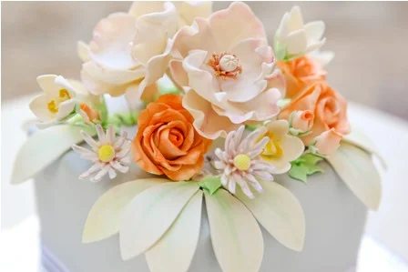 MoaCakeStudio.com