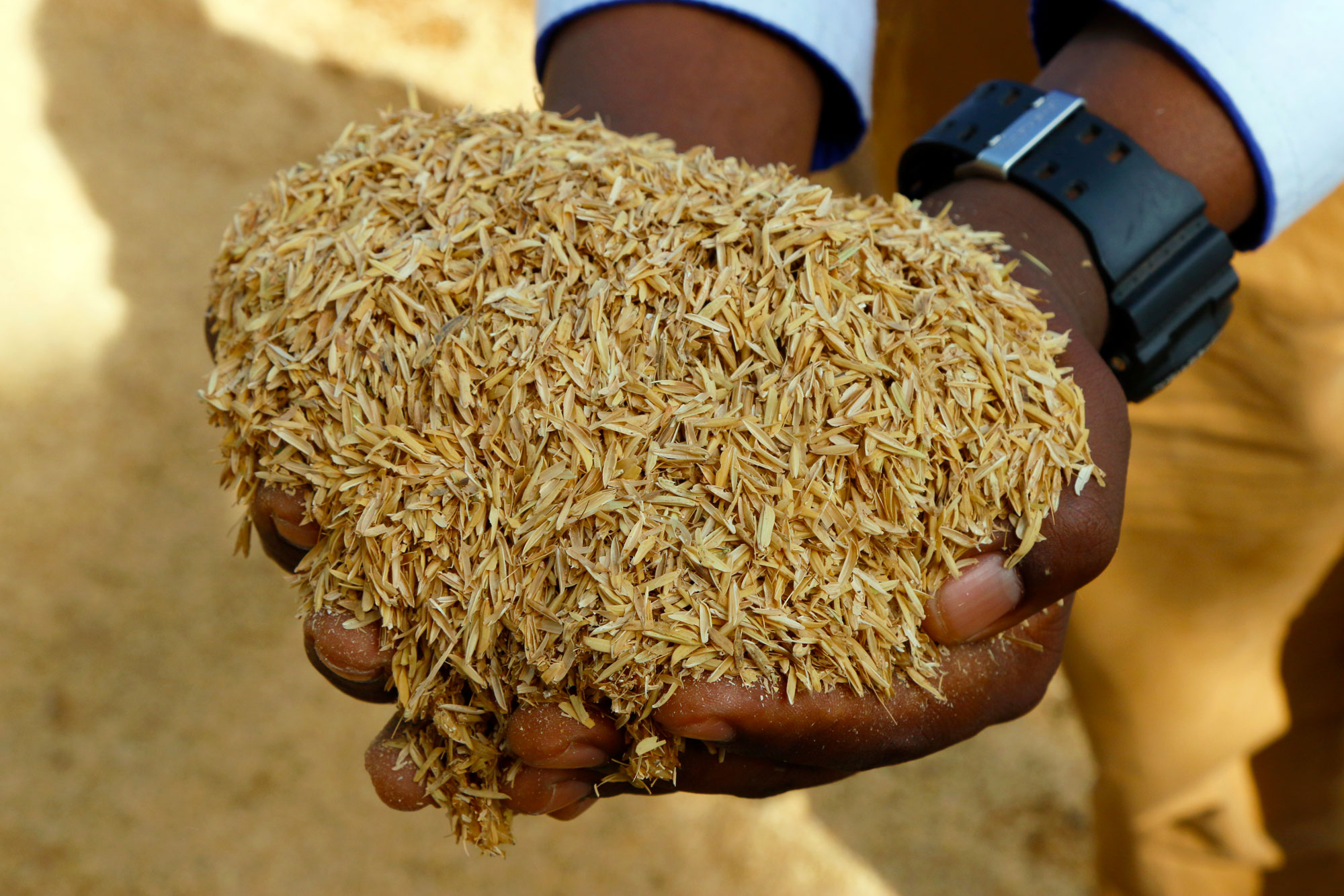 Most people saw rice husks as garbage. Sam Rigu saw an opportunity. (Tim McDonnell)