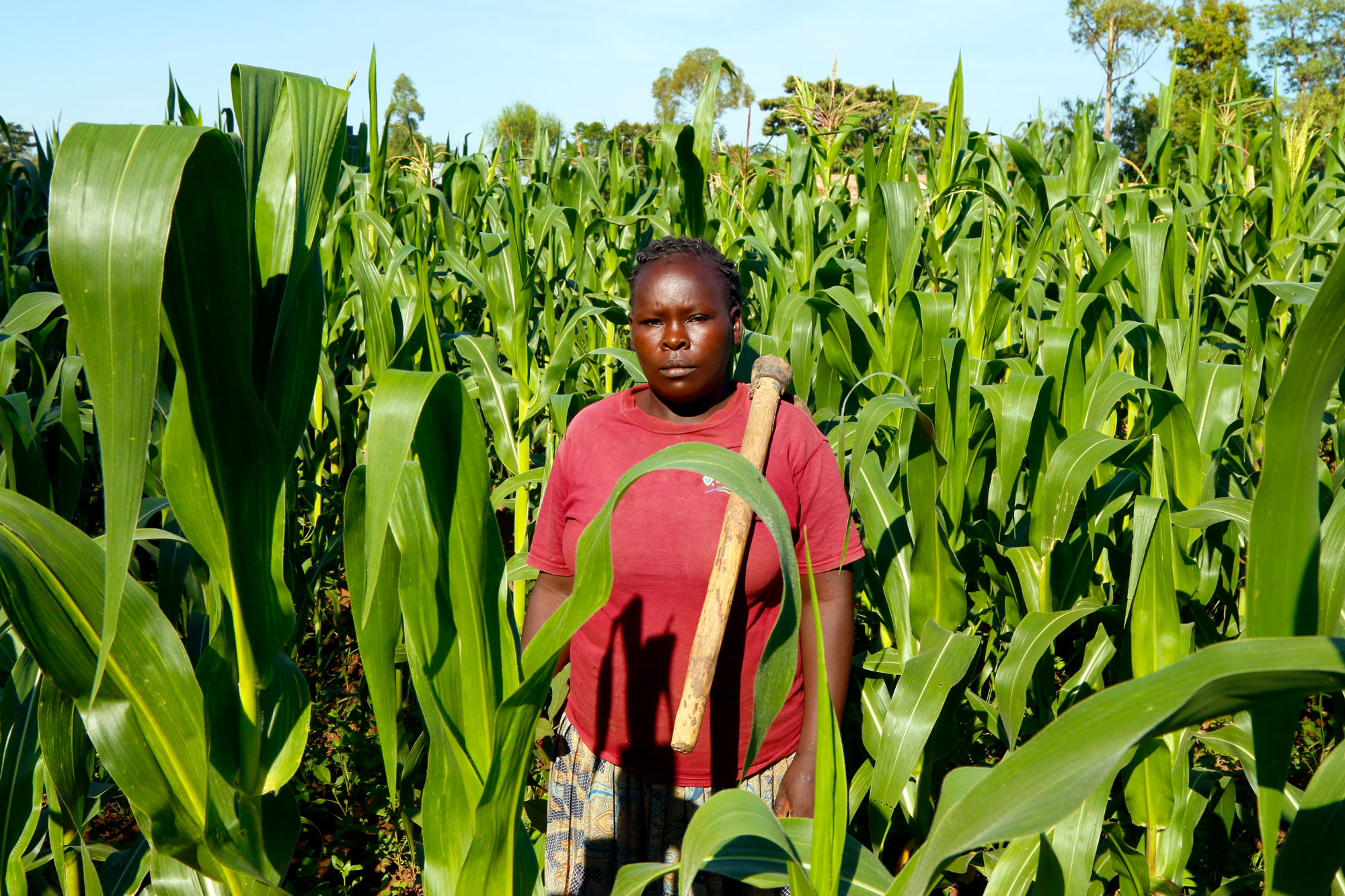 Farmers like Josephine Wamela are reeling from climate change, but struggle to get the money needed to buy adaptive tools. (Tim McDonnell)