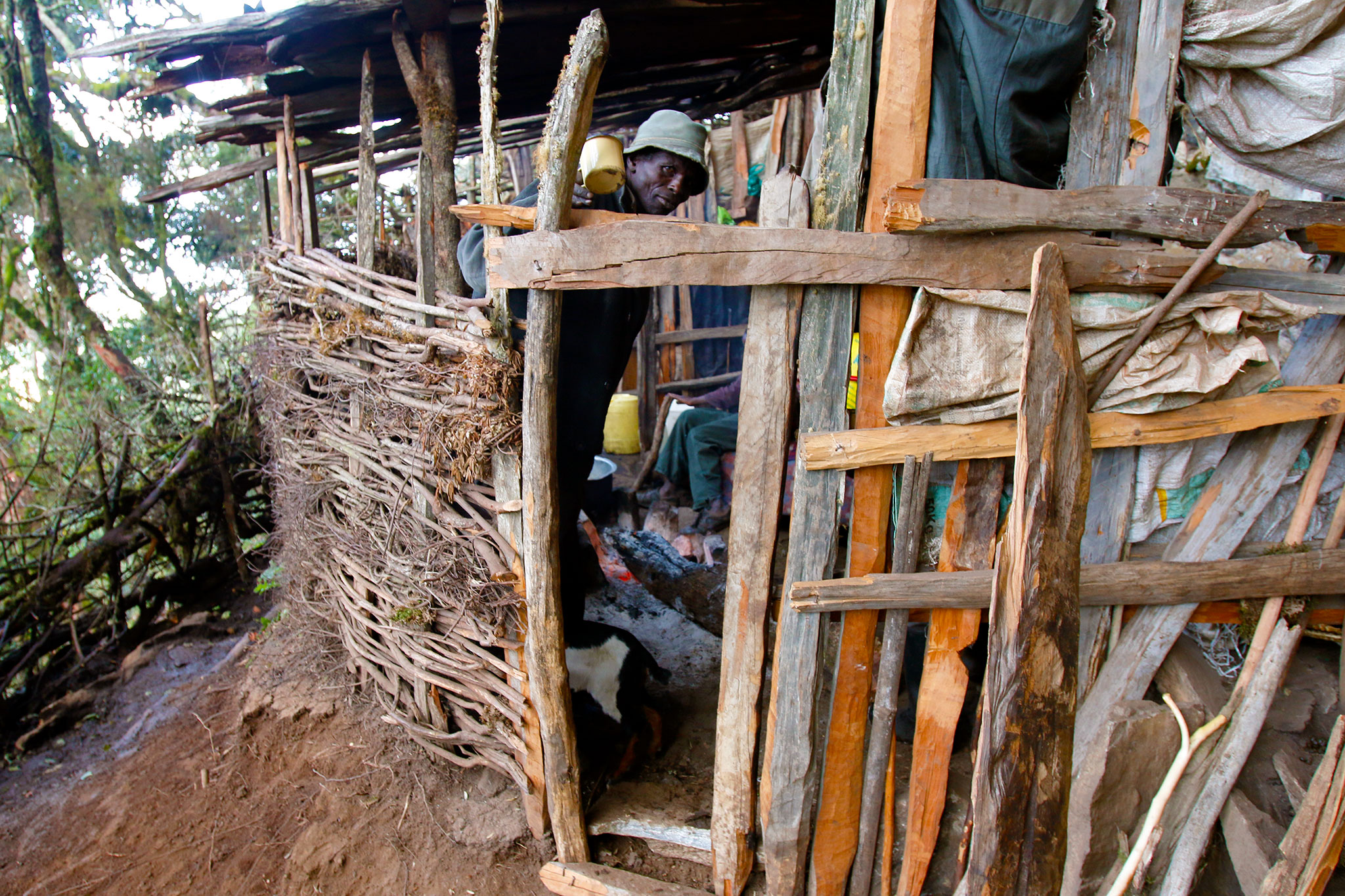 David Kibor, 57, has lived in hiding in a makeshift cave dwelling for the last three years after his house in Embobut Forest was burned down. (Tim McDonnell)