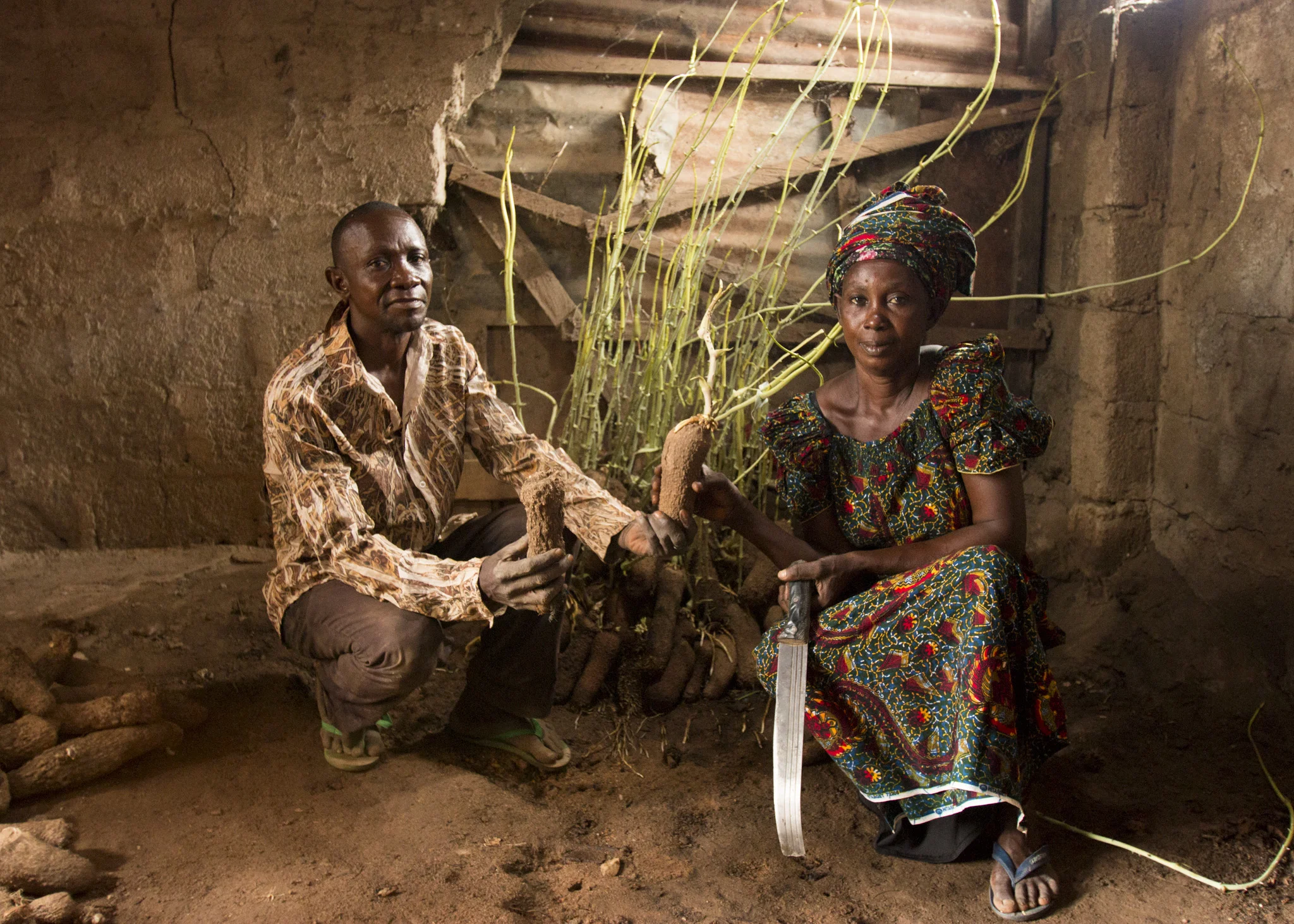 NPR: Scientists Try To Break Nigeria's Cycle Of Replanting Bad Yams