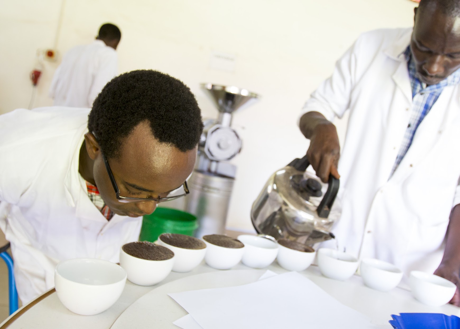 National Geographic: A Drying Climate Threatens Africa’s Coffee, But Hope Remains