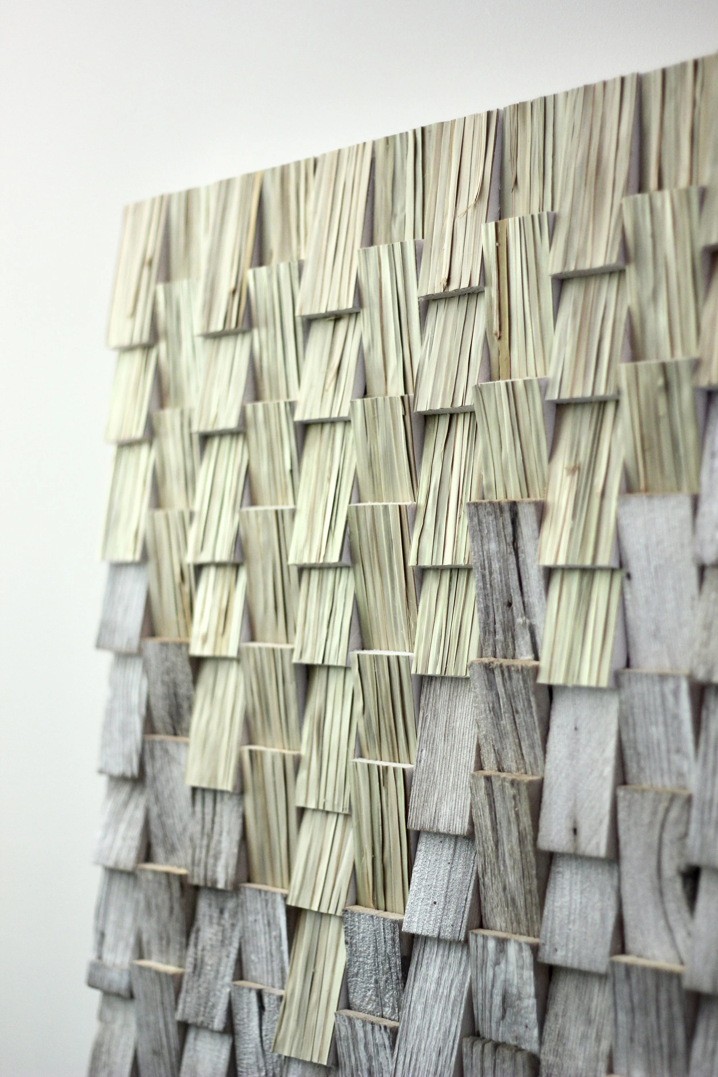 PALMS - detail 41" x 31"