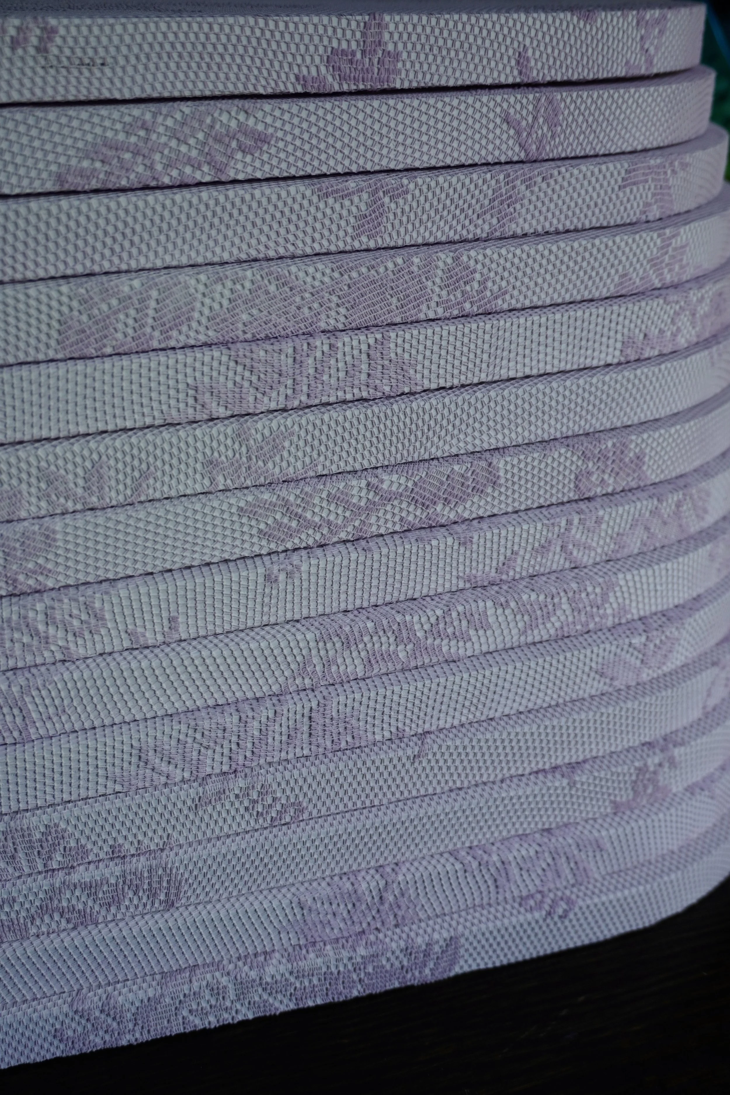 DSC08744.jpg