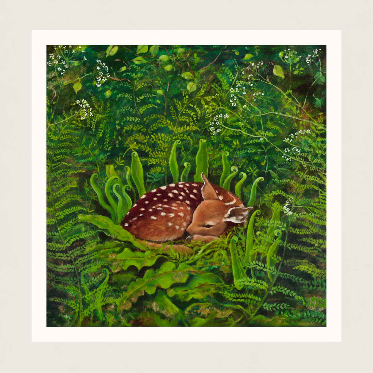 Fawn-Giclee print