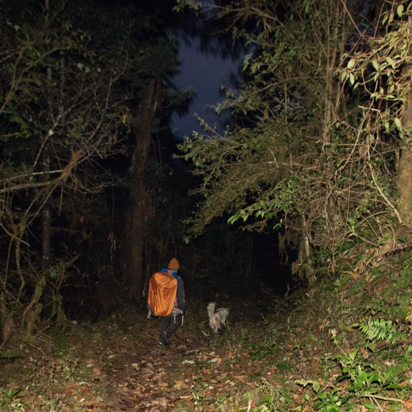 Guddu and companion. A man in exile, hiding from his past life. It&rsquo;s almost an archetype.
.
.
.
.
.
.
.
.
#documentaire #nikonindia #streetphotography #spdcollective #street_photography #_wpf33 #dreaminstreets #burnmagazine #burnmag #streetphot