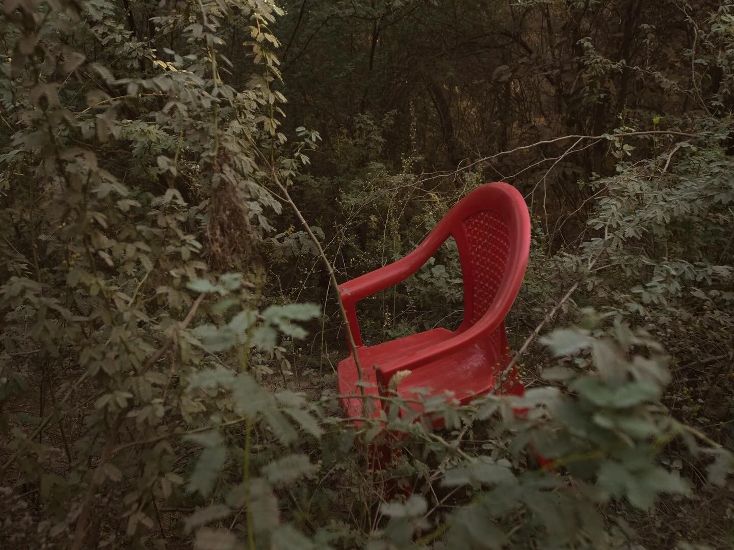 Throne.
.
.
.
.
.
.
#vernacularphotography #abstractrealism #vernacular #urbandecay #urbanoutdoor #hiddengems #photodocumentary #photodocumentaire #photo_ #photoabstract #redchair #documental #docu #alecsoth #photo_graphy #mutedtones #moodygrams #moo