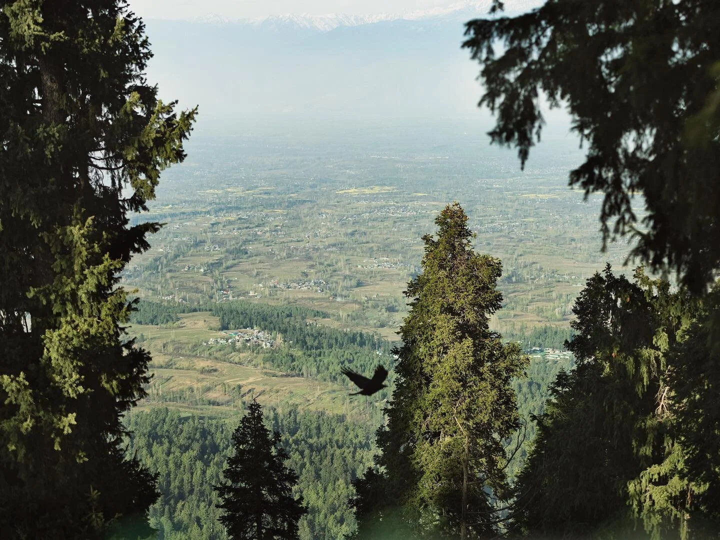 Kashmir throwback.
.
.
.
.
.
.
.
#landscapemagazine #mountainsarecalling #traveljournaling #traveljournals #indiantravelgram #incredibleindiaofficial #kashmirvalley #kashmirtourism #indiatourism #naturemag #naturemagic #rnifilms #filmaesthetic #aesth