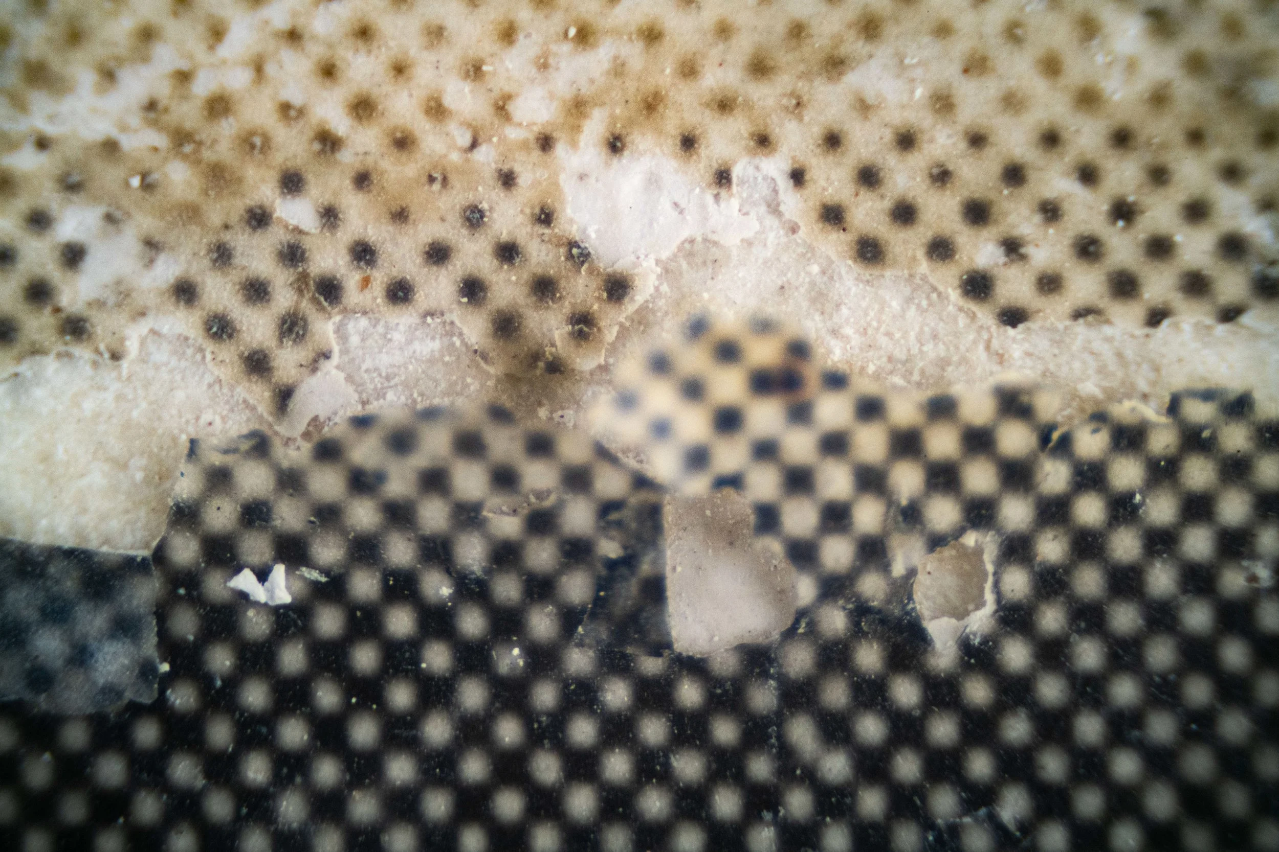 PhotoEntropy_07.jpg