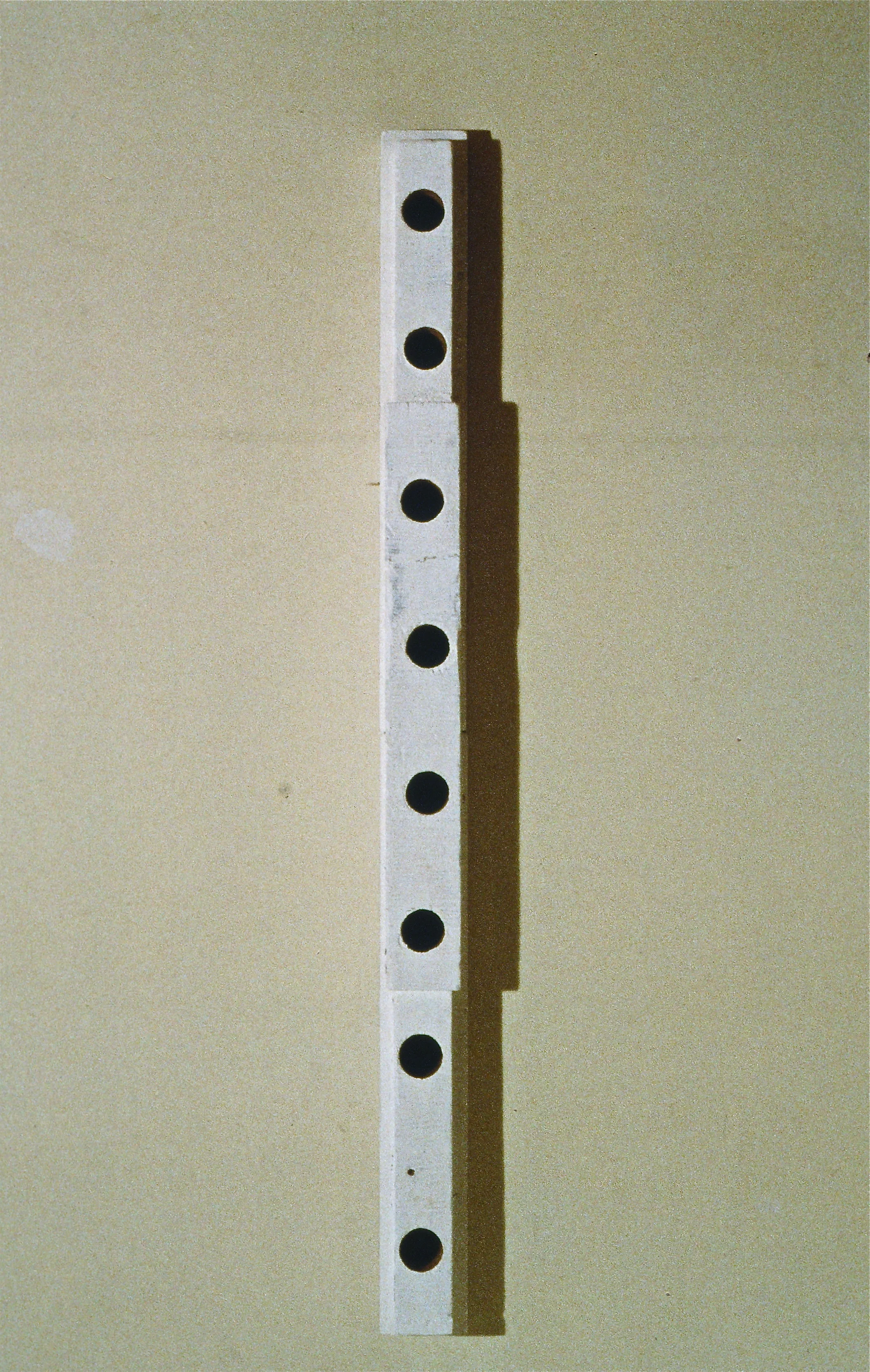    Nesting     wood, gesso    56 x 4 x 6  inches  