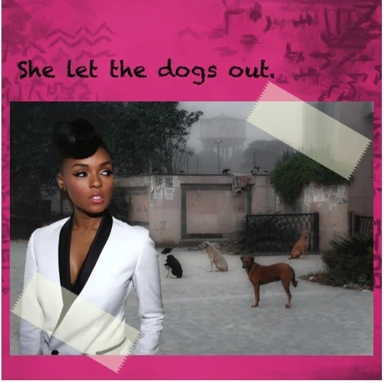 LettheDogsOut.jpg