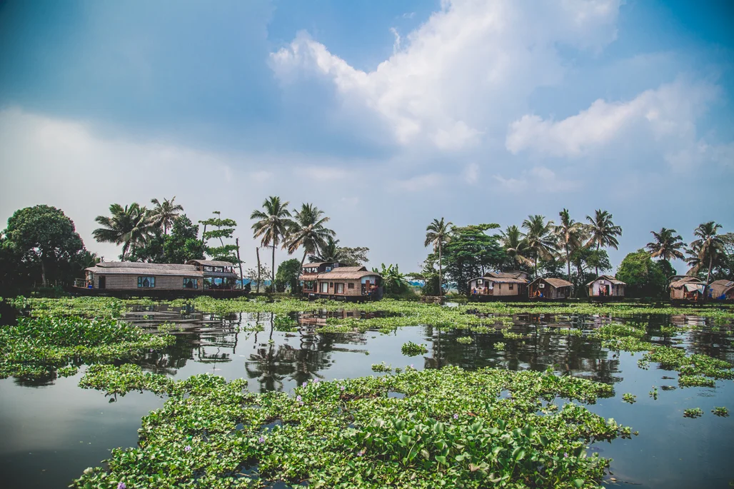 Alleppey Backwaters | Kerala