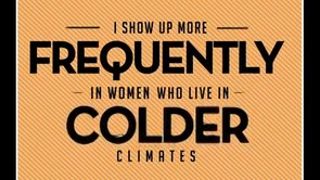 The MS Project - Colder
