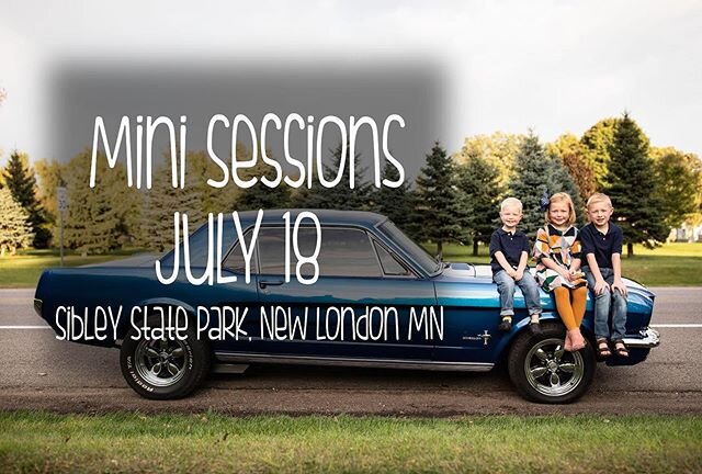 Announcing Mini Sessions!
July 18th (July 19th Rain Backup)
PM Sessions Available
Sibley State Park, New London, MN
Reserve your spot by sending us a message! Cost is $125 plus tax for an awesome 20 minute session with at least 30 edited images (incl