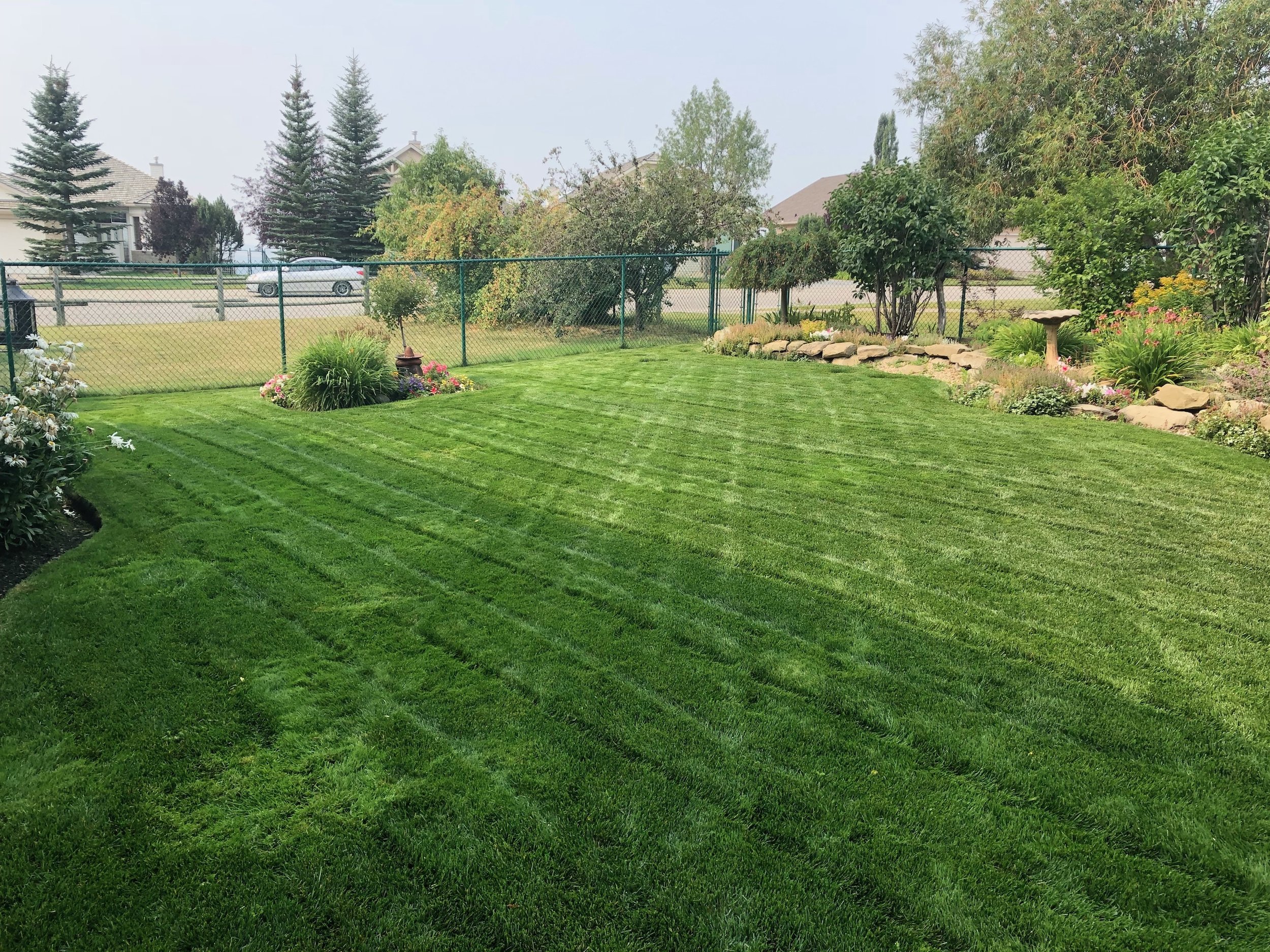 traditional fertilizer calgary.jpeg