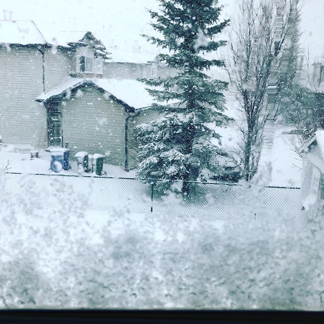 Freak April snow storm. 
Spring clean ups 🚨🚧🛑
.
.
.
#landscaping #calgary #cochrane #yyc #yyclandscaping #calgarylandscaping #lawncare #familybusiness #shopyyc
#smallbusinessyyc #lux #yycliving #yyclandscaping #maintenance #lawnmowing #trimming #s