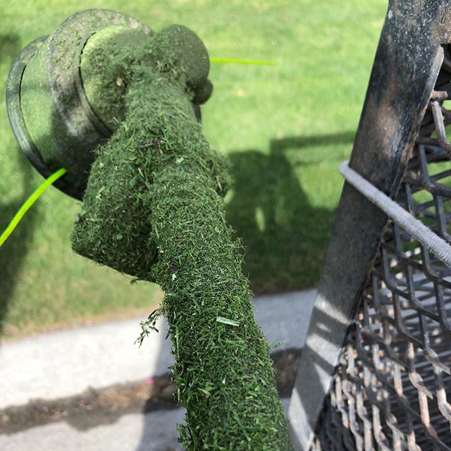 Werk it 💚
.
.
.
#landscaping #calgary #cochrane #yyc #yyclandscaping #calgarylandscaping #lawncare #familybusiness #shopyyc
#smallbusinessyyc #lux #yycliving #yyclandscaping #maintenance #lawnmowing #trimming #sod #mulch #construction #fertilizer #c