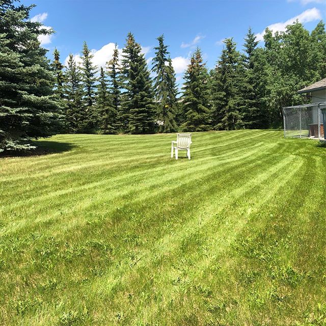 Those lines tho 👌🏽
.
.
.
#landscaping #calgary #cochrane #yyc #yyclandscaping #calgarylandscaping #lawncare #familybusiness #shopyyc
#smallbusinessyyc #lux #yycliving #yyclandscaping #maintenance #lawnmowing #trimming #sod #mulch #construction #fer